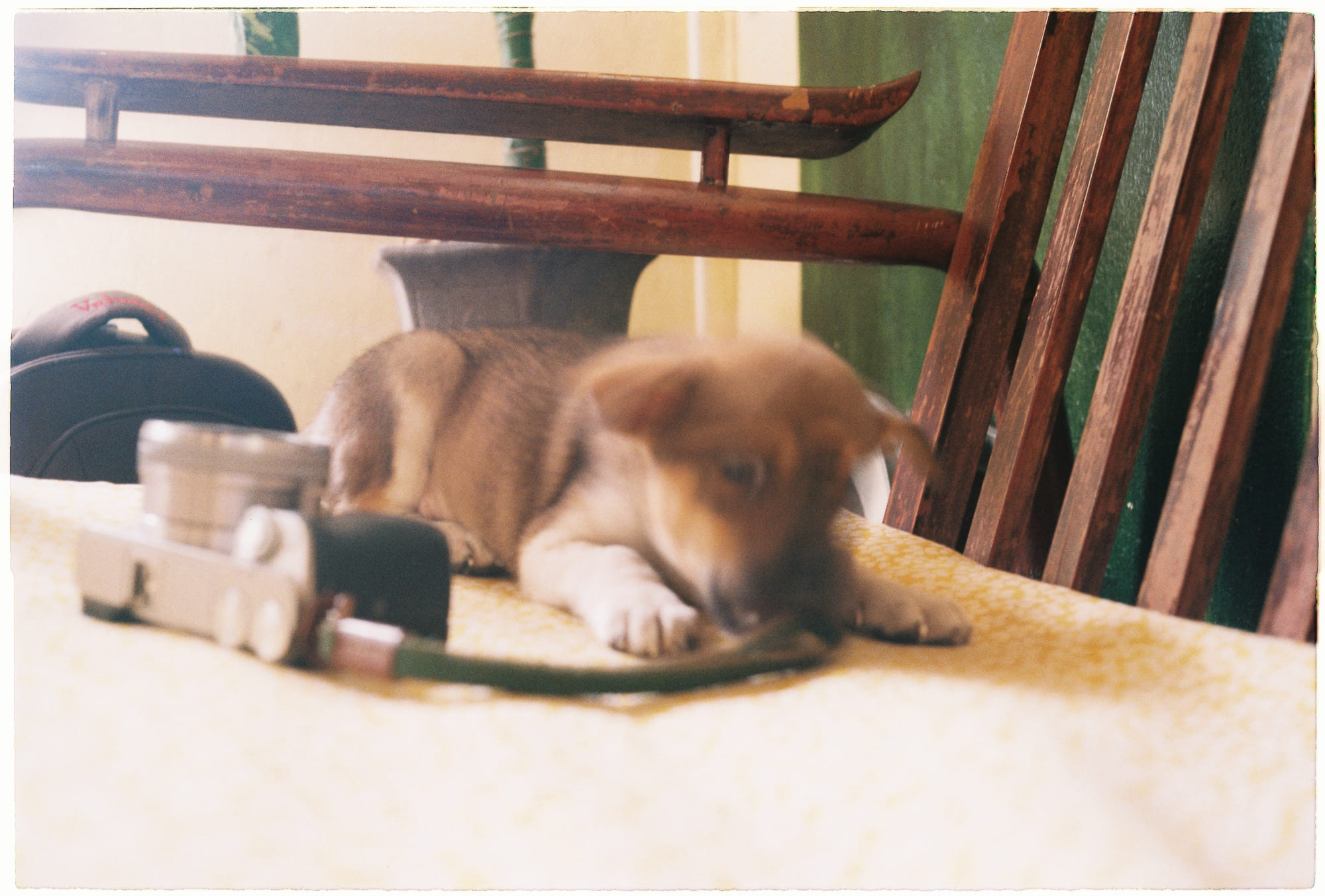 Điều gì đã xảy ra với Hồi giáo thời Trung cổ?