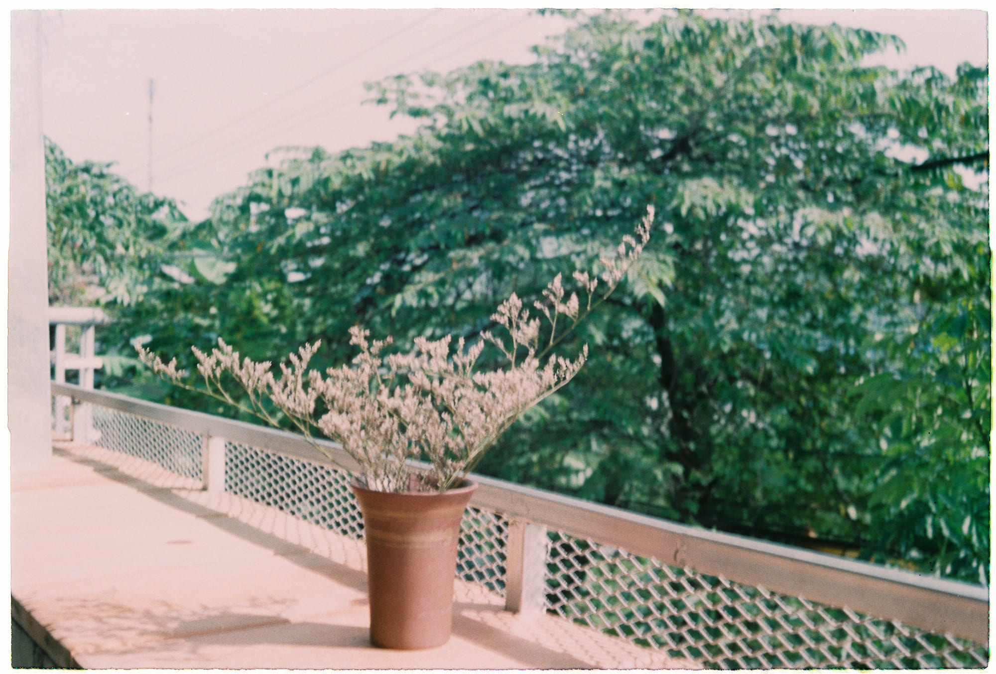 Những đứt gãy nội bộ trong cộng đồng Do Thái toàn cầu