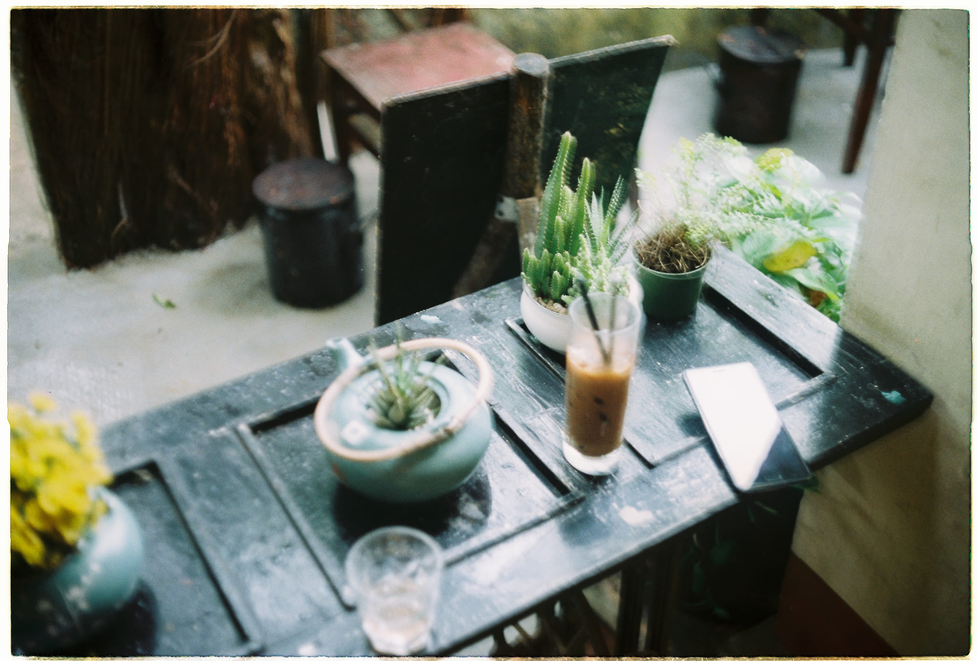 Cua tiến hóa ngược sau năm lần tiến hóa