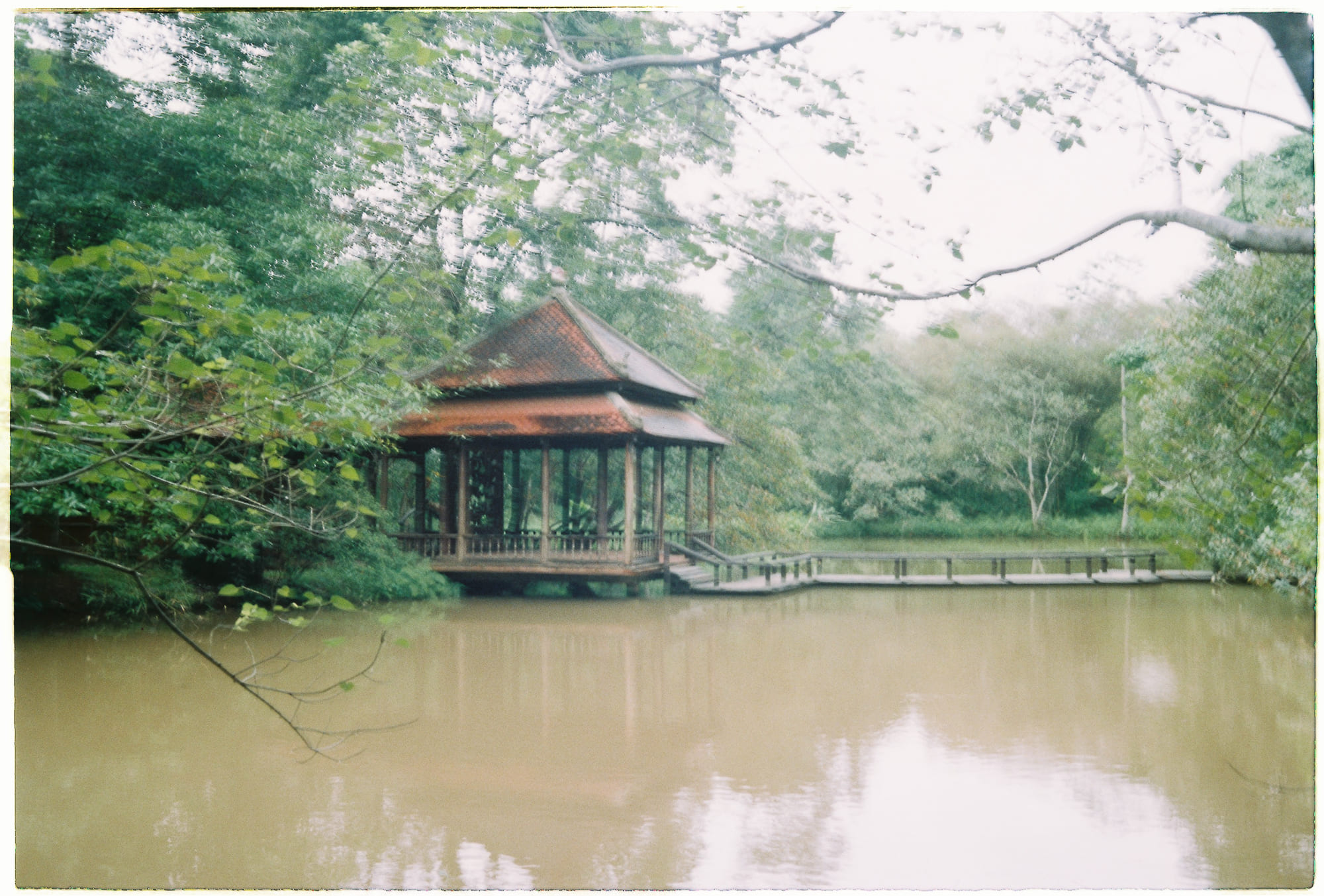 Lưỡng nan Rustin trong liên minh dân chủ