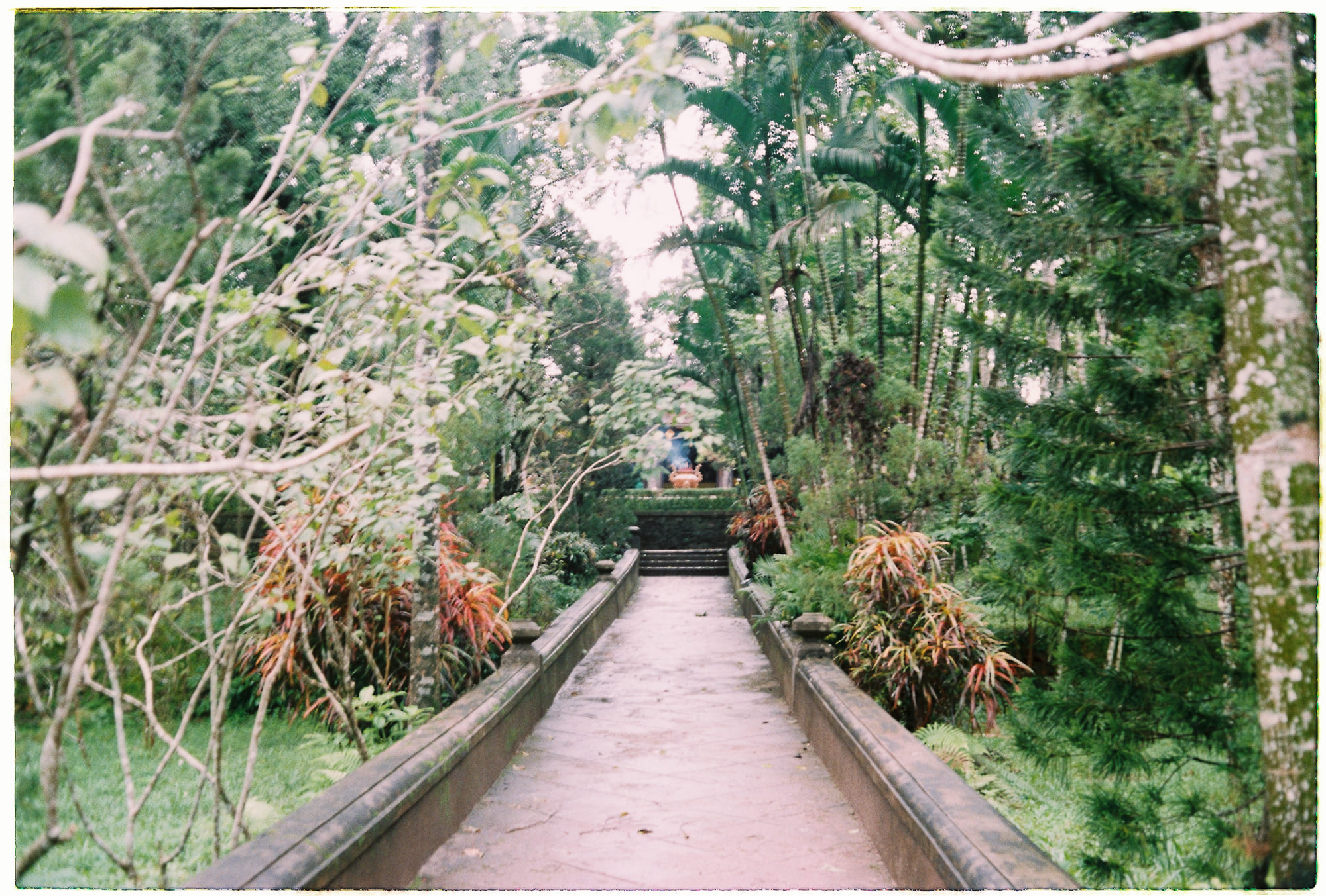 Sự sống trên Trái Đất đang hài hòa hay hủy diệt?