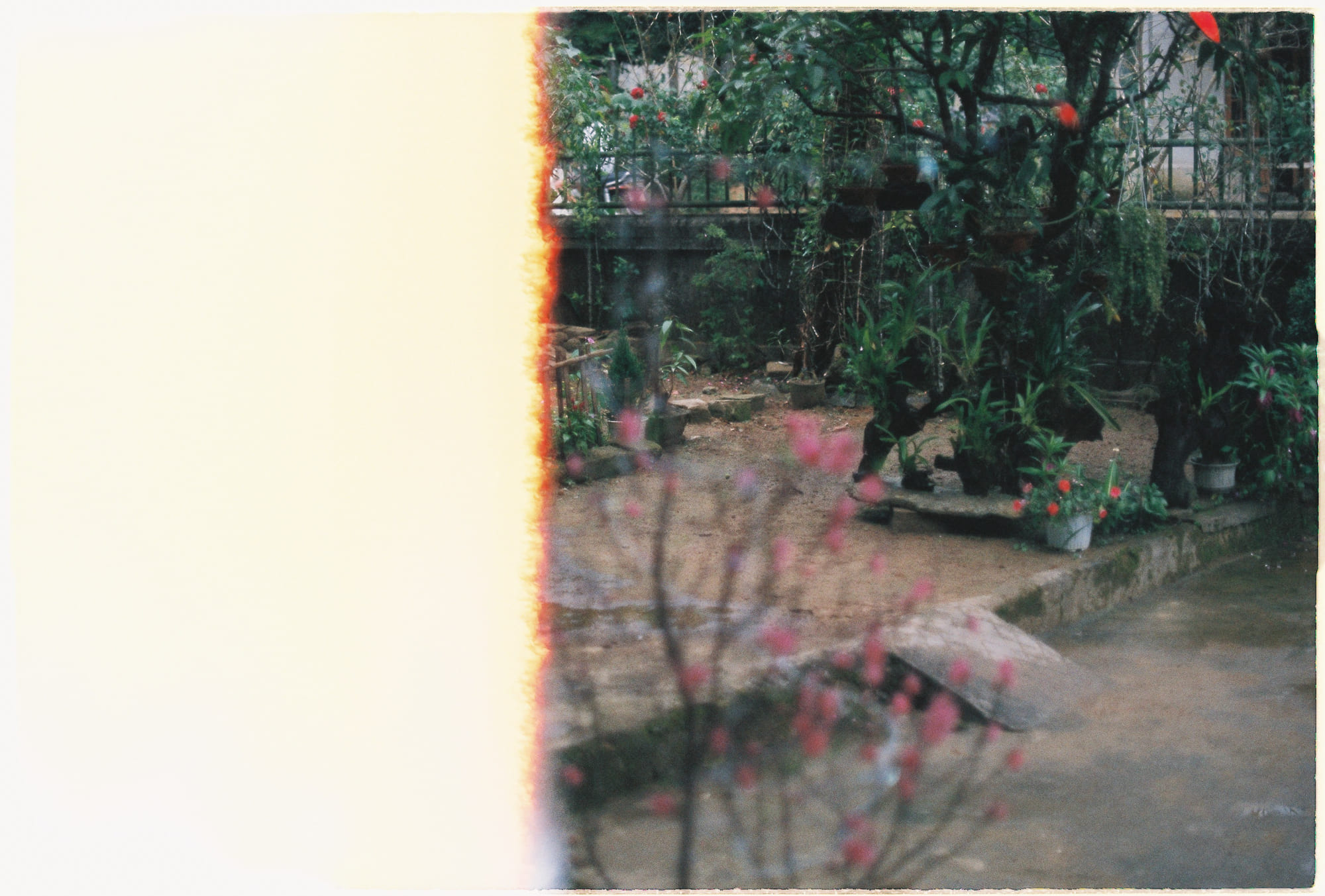 Thiên Chúa là chính sự tồn tại 965 – xa hoi hoc, tam ly hoc, tu duy, triet hoc, thien chua giao, chu nghia hien sinh, thien chua ton tai.