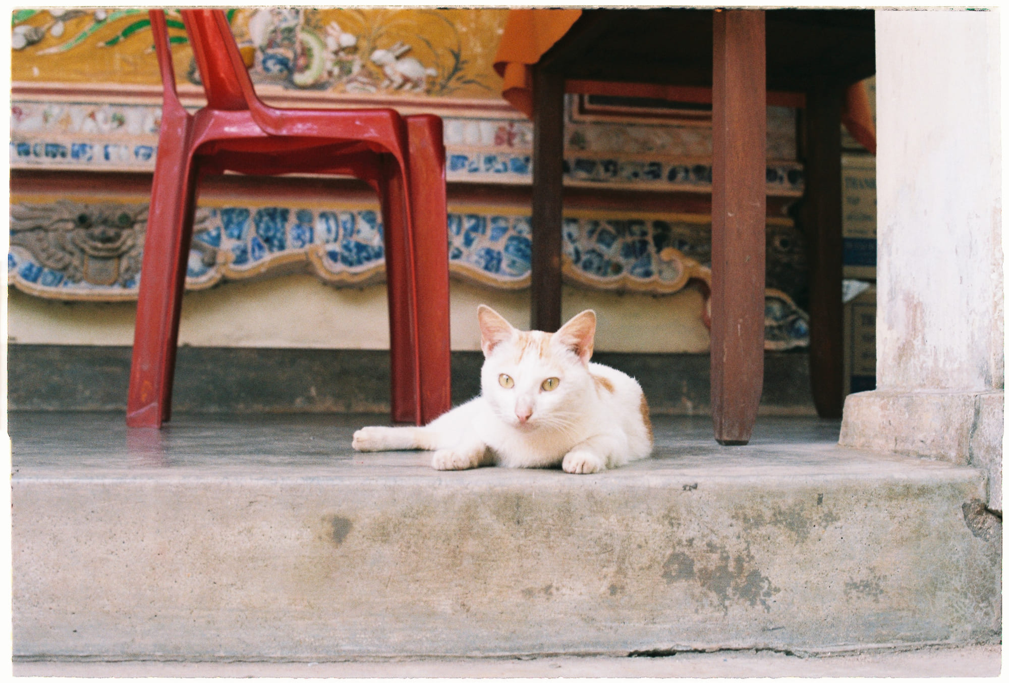 Trung tâm phát triển văn hóa đọc Nhà văn