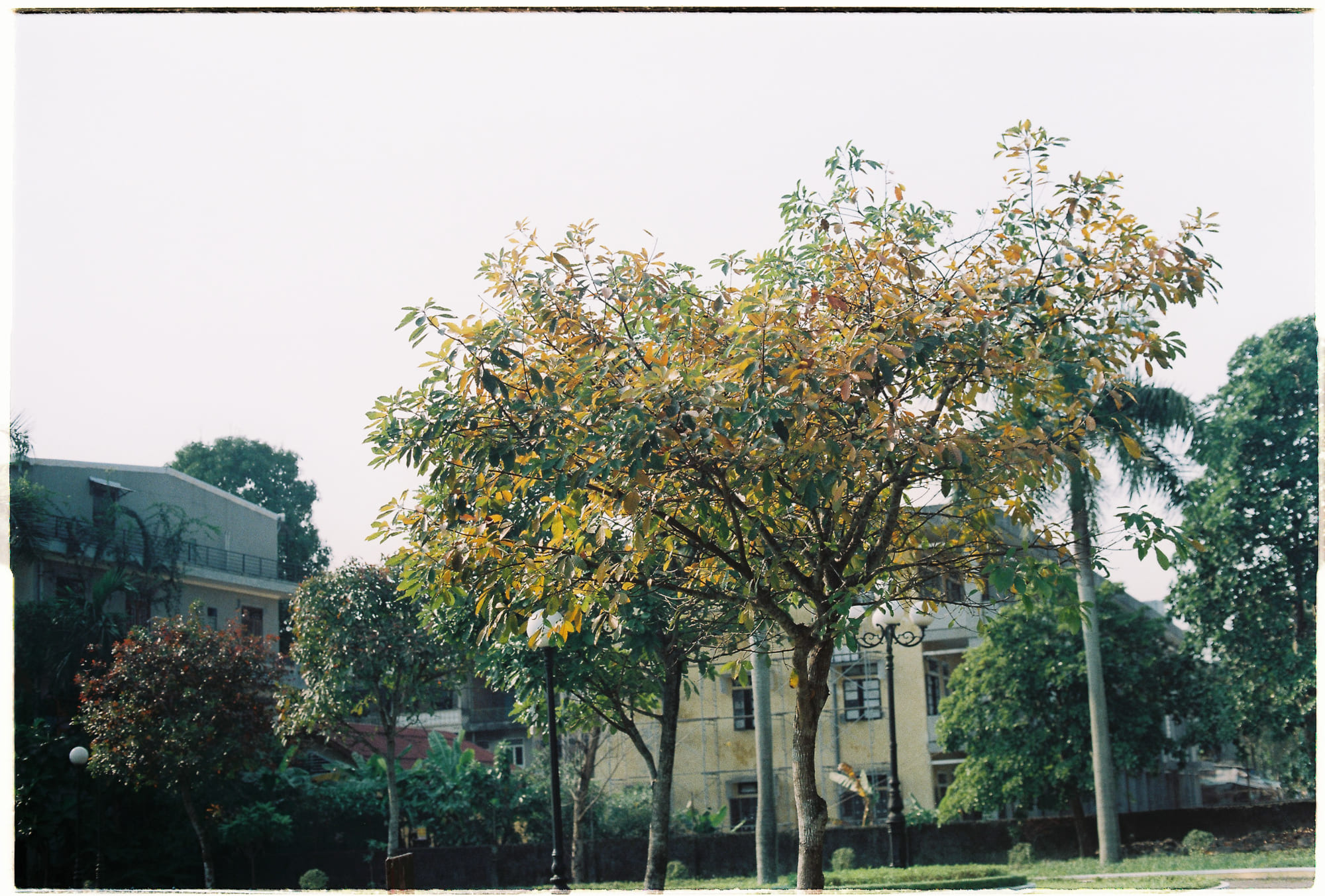 3 cuộc tranh luận triết học của thế kỷ XX đang được khoa học thần kinh định hình lại 412 – viet lach, tranh luan, triet hoc, y chi, y chi tu do, cai toi, khung hoang hien sinh.