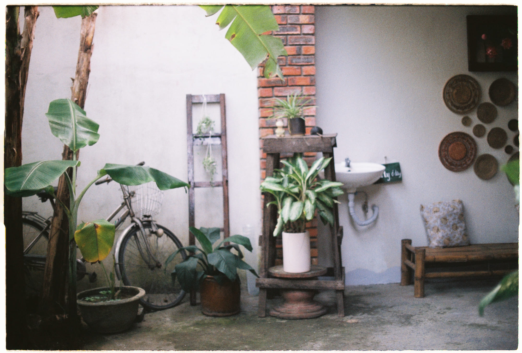 Bản năng bộ lạc cổ đại đằng sau văn hóa của con người 244 – khoa hoc, sinh hoc, con nguoi, dong vat, ban nang dong loai, ban nang ngang hang, tien hoa.