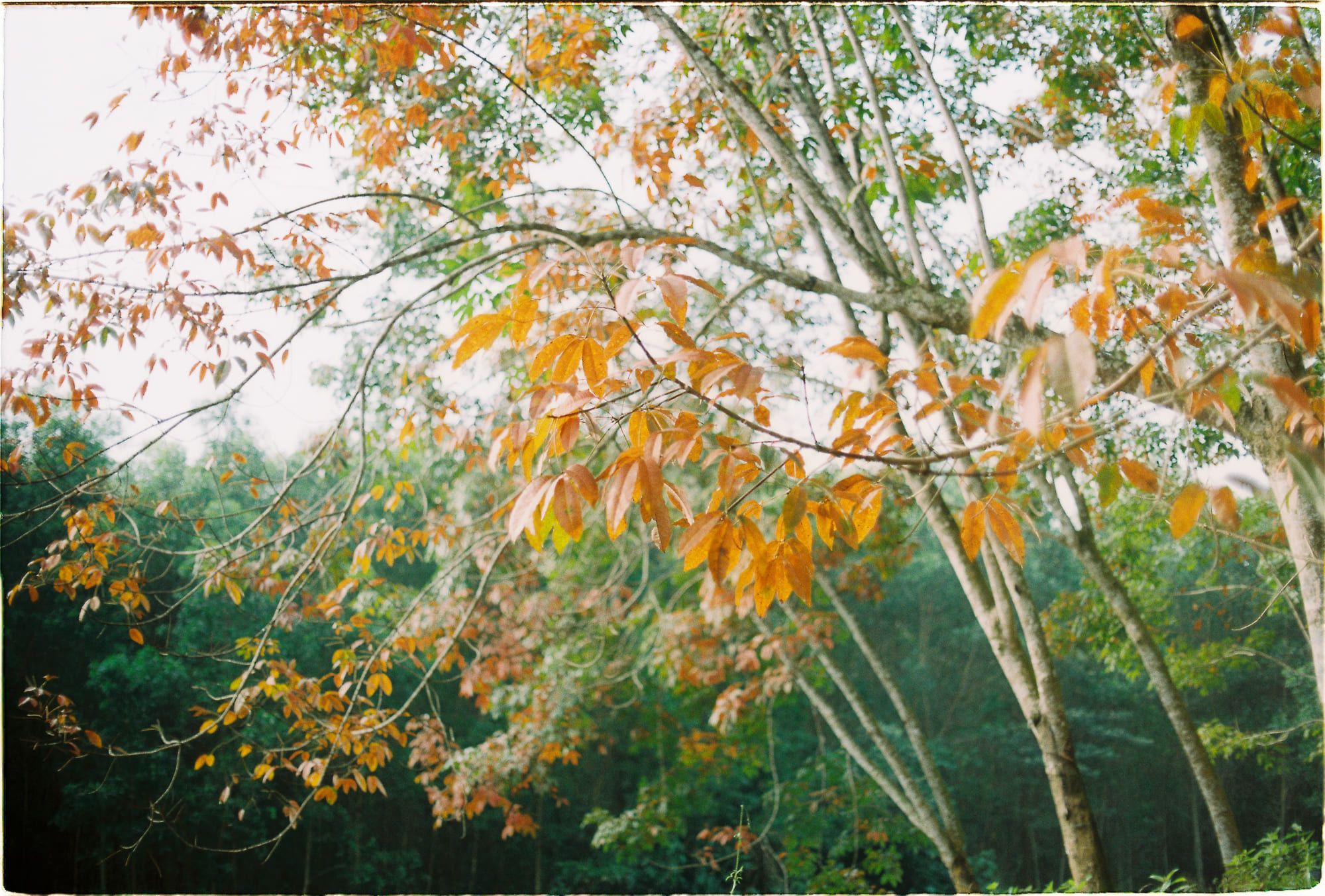 Bao nhiêu sự đồng cảm là quá nhiều?