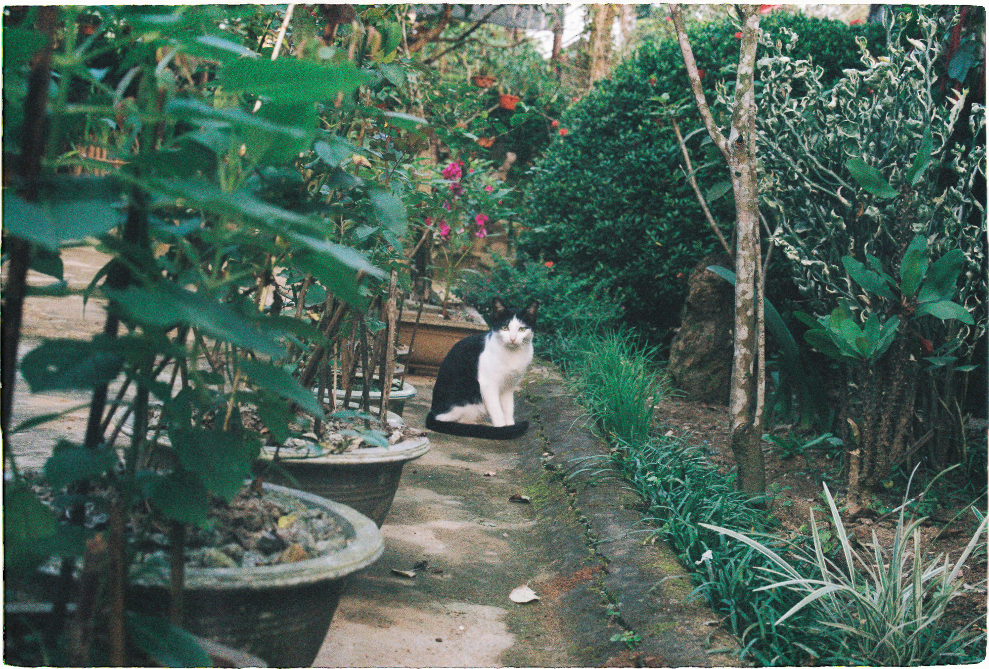 Người Do Thái châu Âu từ thời Trung cổ đến Cận đại