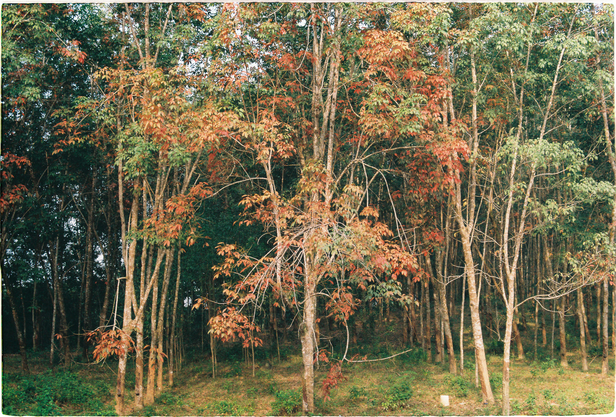 Làm thế nào để triết học cân bằng với ý chí tự do? 065 – tam ly hoc, tam than hoc, triet hoc, tu duy nhan thuc, y chi tu do, y chi, tu tuong, triet hoc can bang, nhan qua, chu nghia bat dinh.