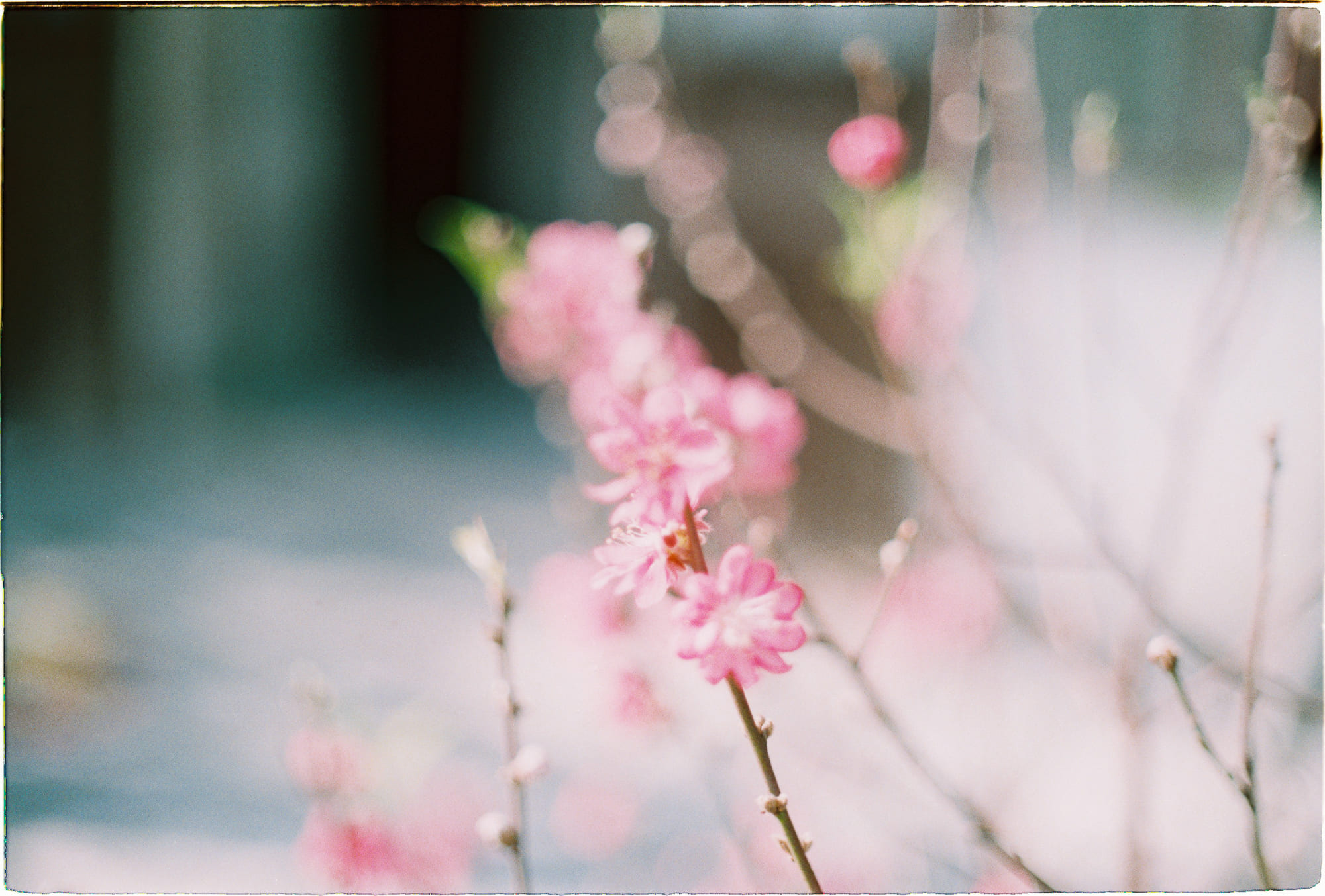 Hiệu suất làm việc của bạn đang ở mức nào?