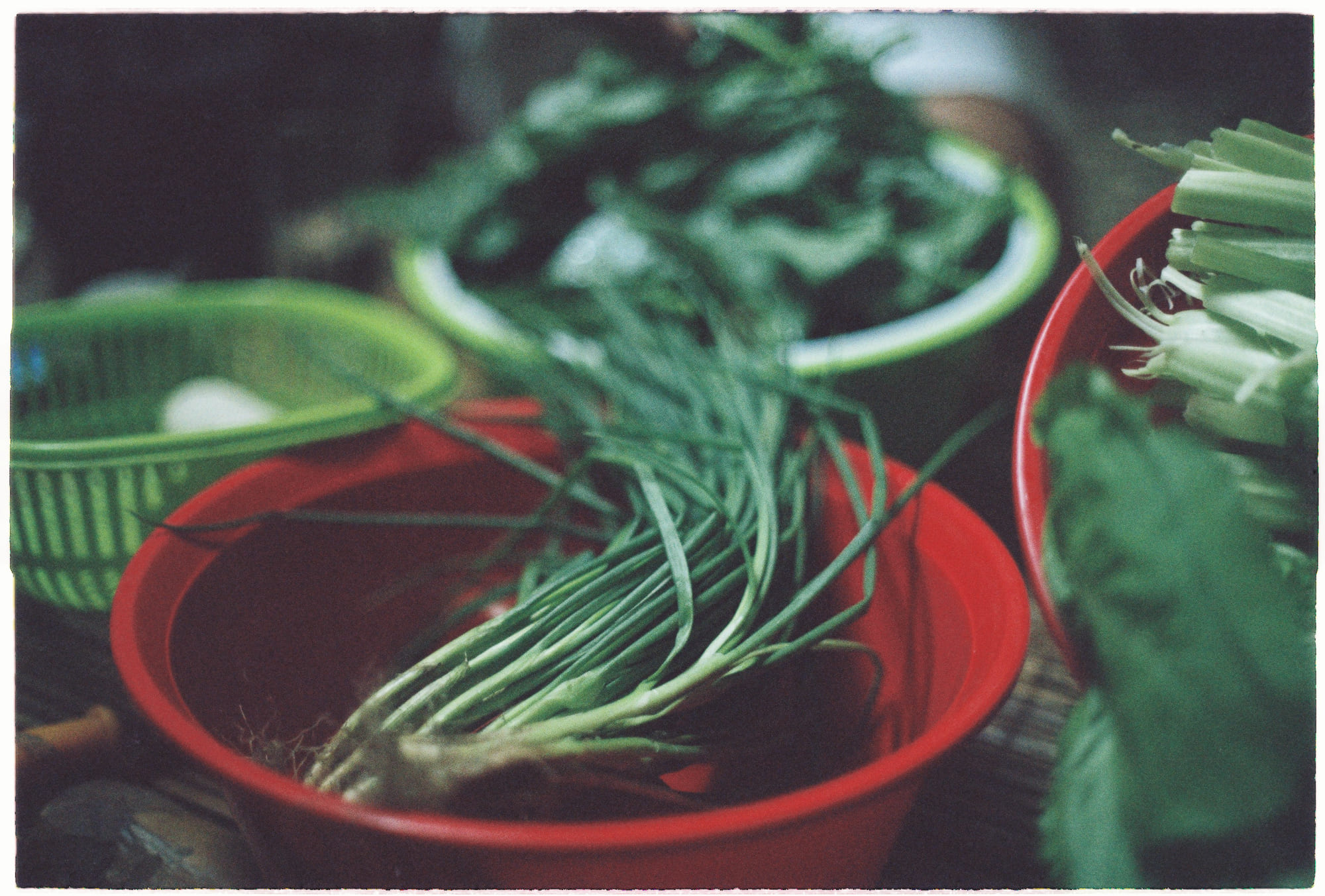 Hiểu đúng chữ Khổ trong Phật giáo