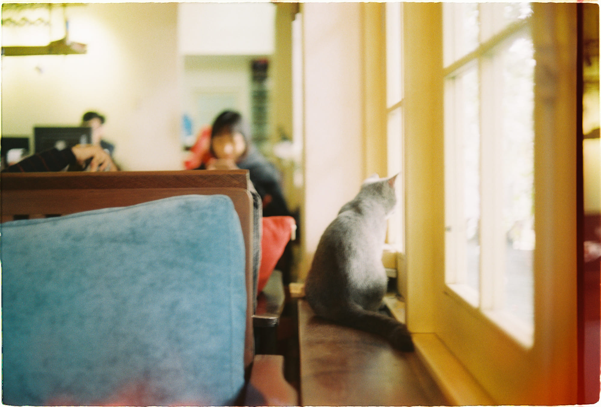 Chất kích thích ảo giác và chủ nghĩa tâm linh