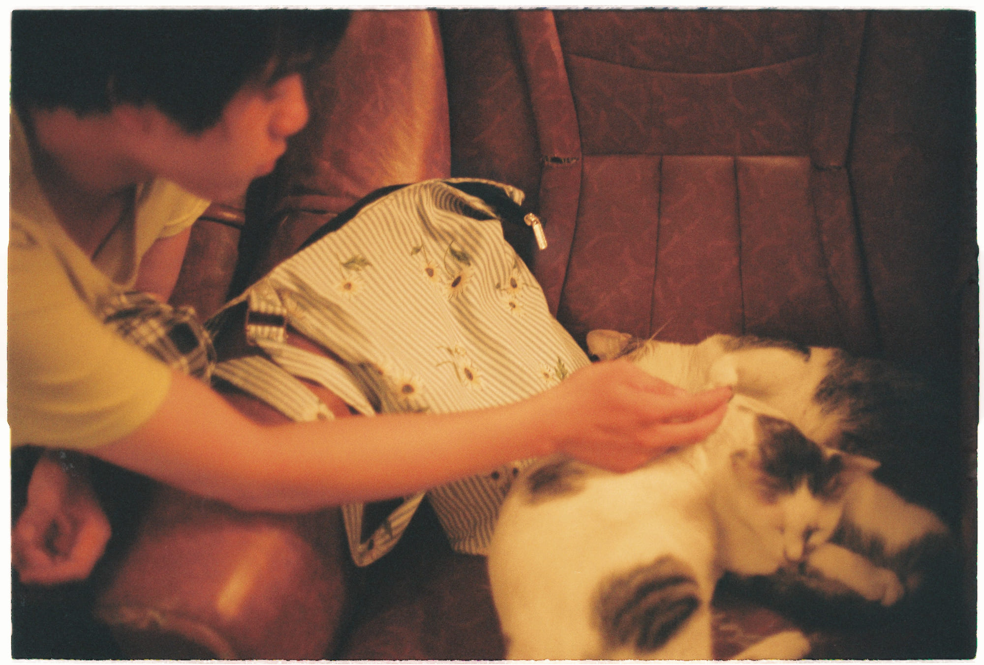 7 chuyện cười triết học từ triết gia Slavoj Žižek