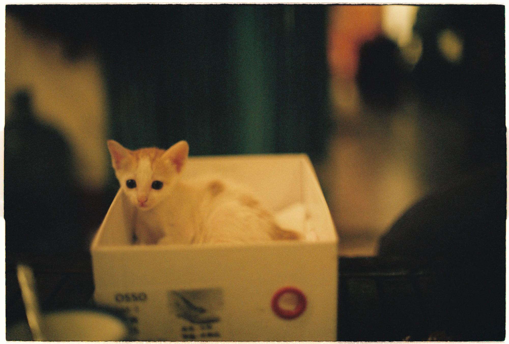 7 thay đổi với Trái Đất khi phá hủy mặt trăng