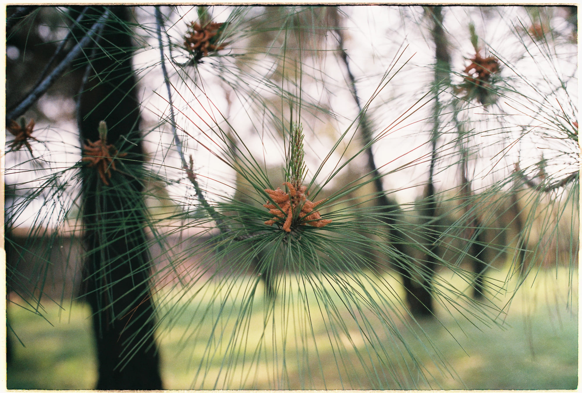 Từ tranh luận rabbinical đến kiến trúc luật pháp Do Thái