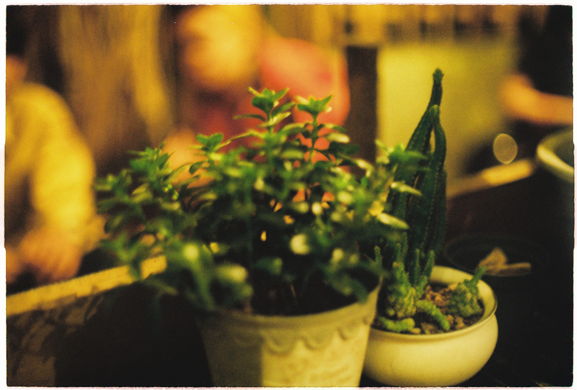 Trung tâm phát triển văn hóa đọc Nhà văn