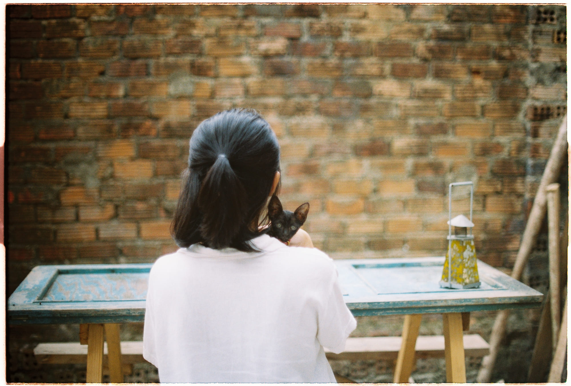 Xúc tác tự xúc tác của sự sống 656 – khoa hoc, su song, nghien cuu su song, nguon goc su song, nguon goc, kham pha, xuc tac, xuc tac su song.