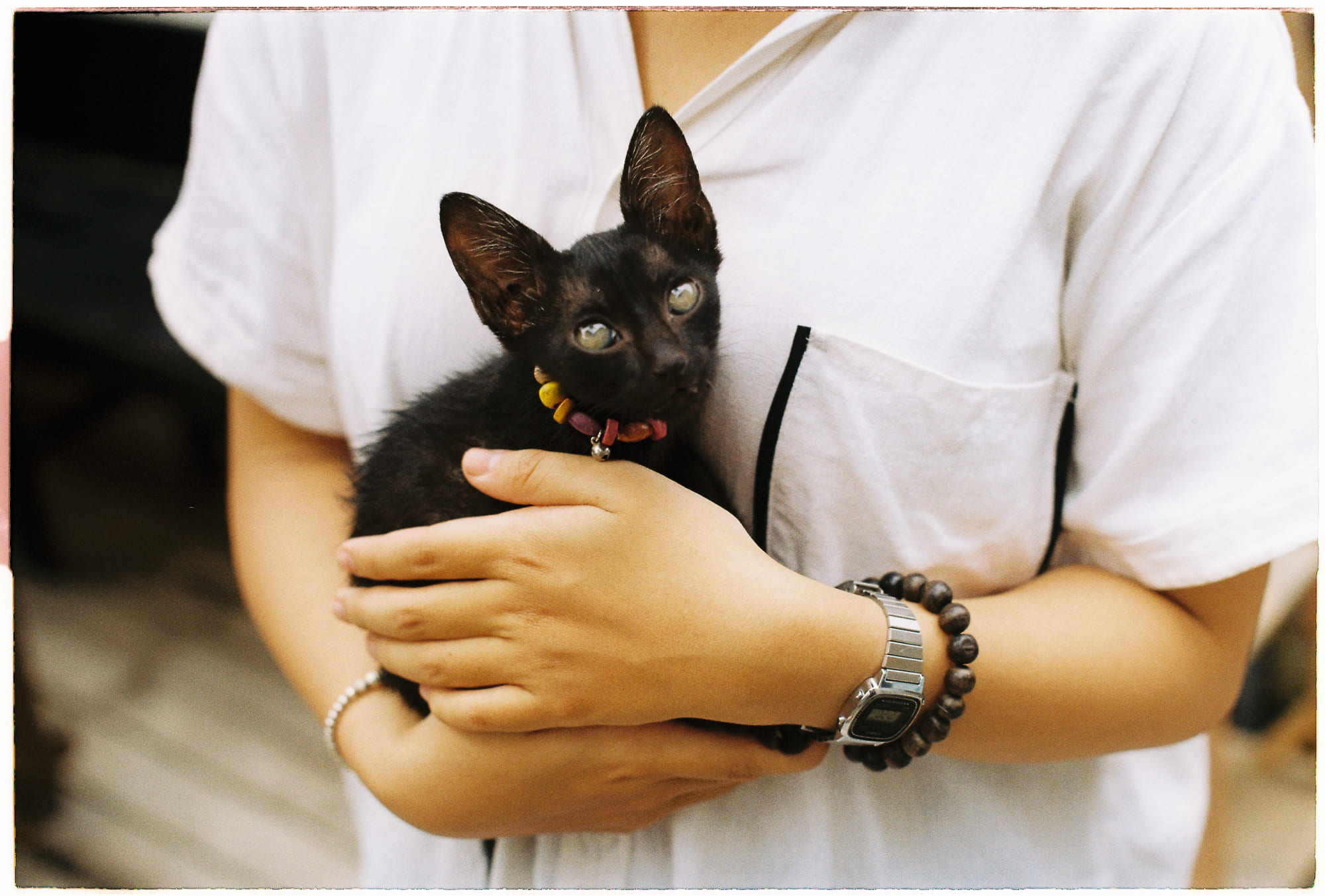 Văn hóa cổ xưa đốt nhà mỗi 60 năm