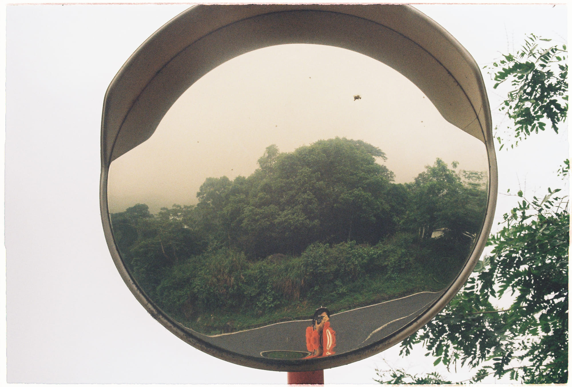 Chủ nghĩa hiện sinh trong nhạc Trịnh Công Sơn