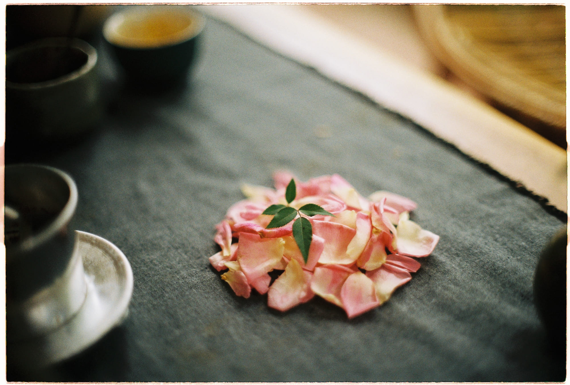 Diễn từ Nobel Văn học 1993 – Toni Morrison