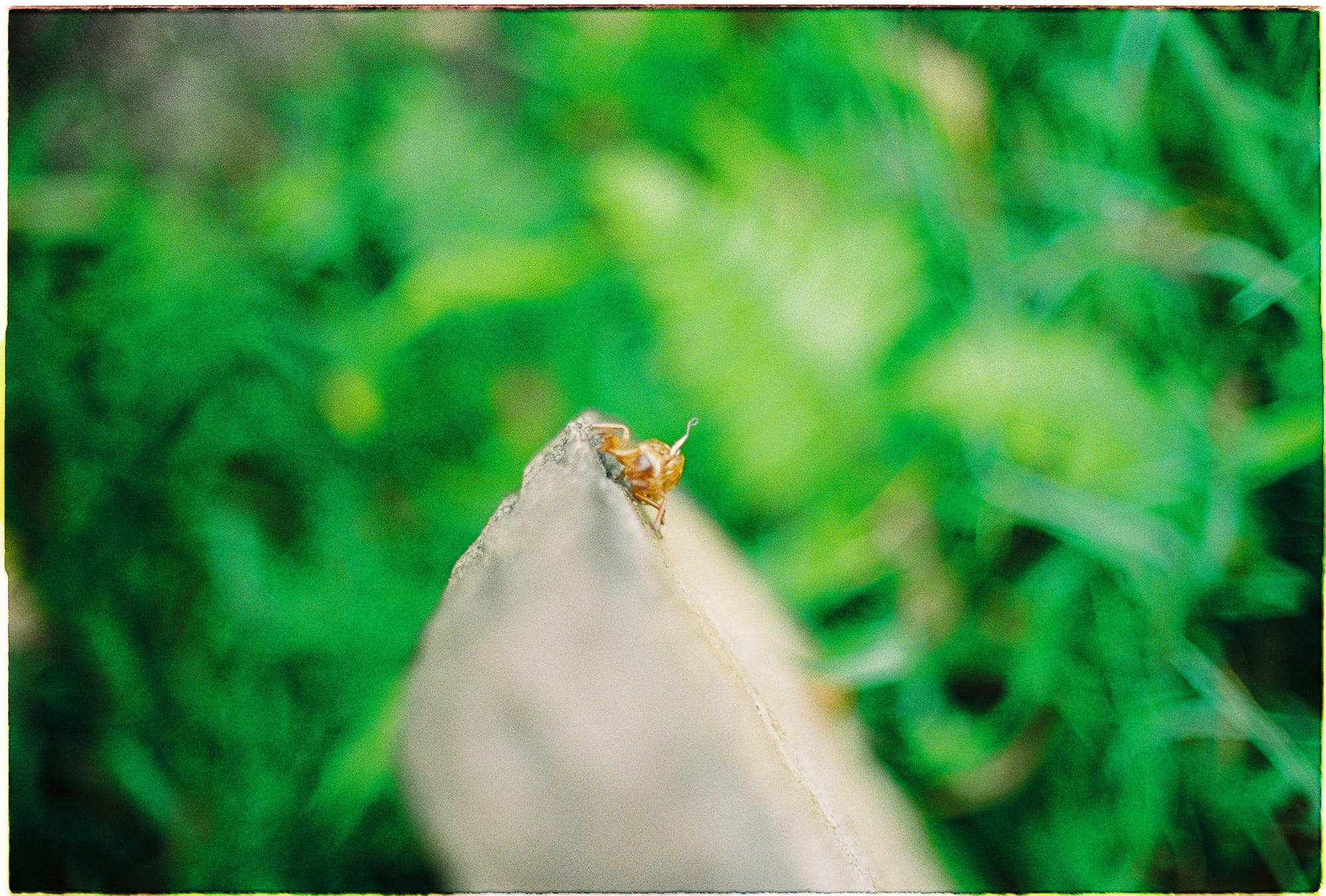 Trung tâm phát triển văn hóa đọc Nhà văn