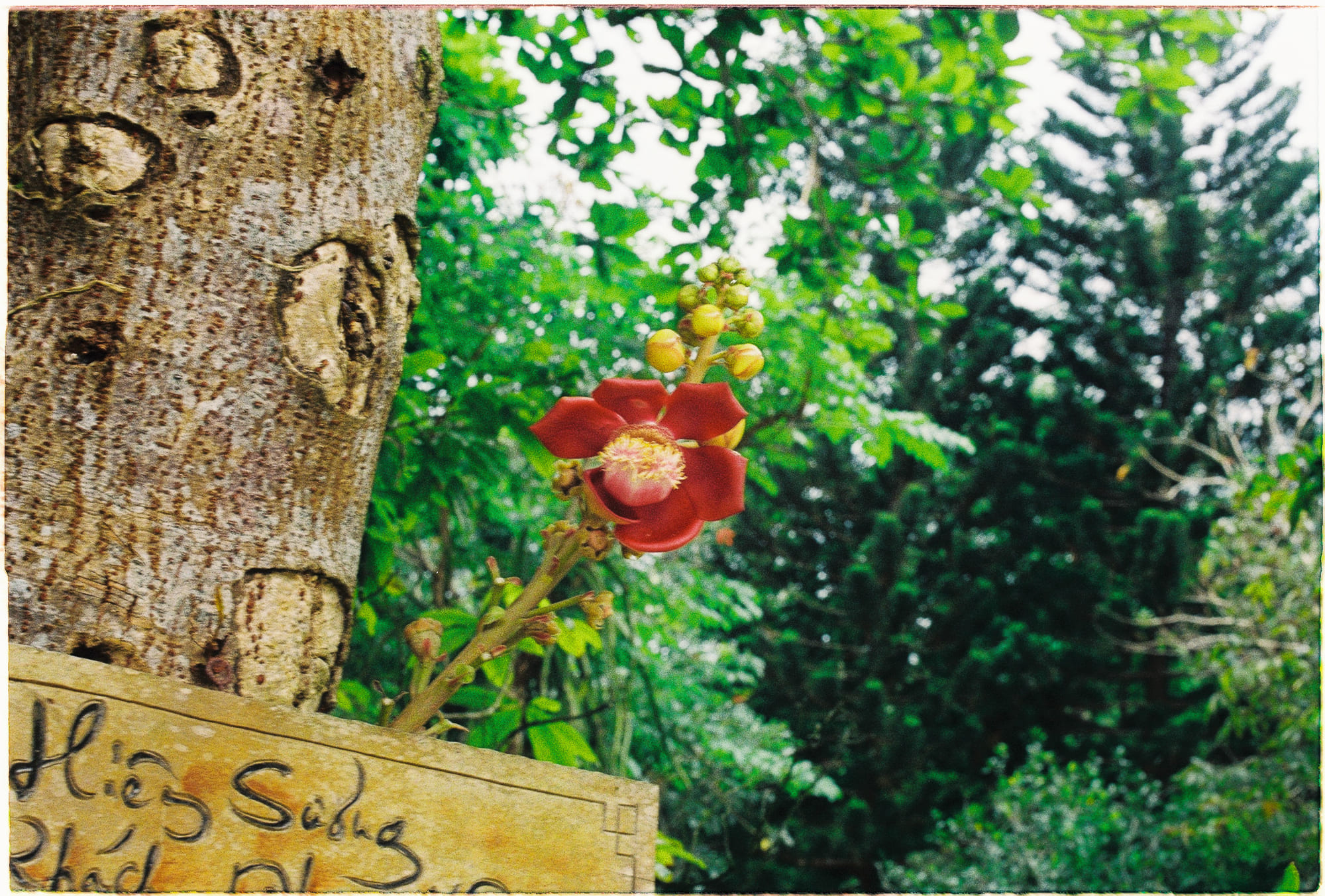 Bài kiểm tra Ác quỷ sự thật (Truth demon) về niềm tin