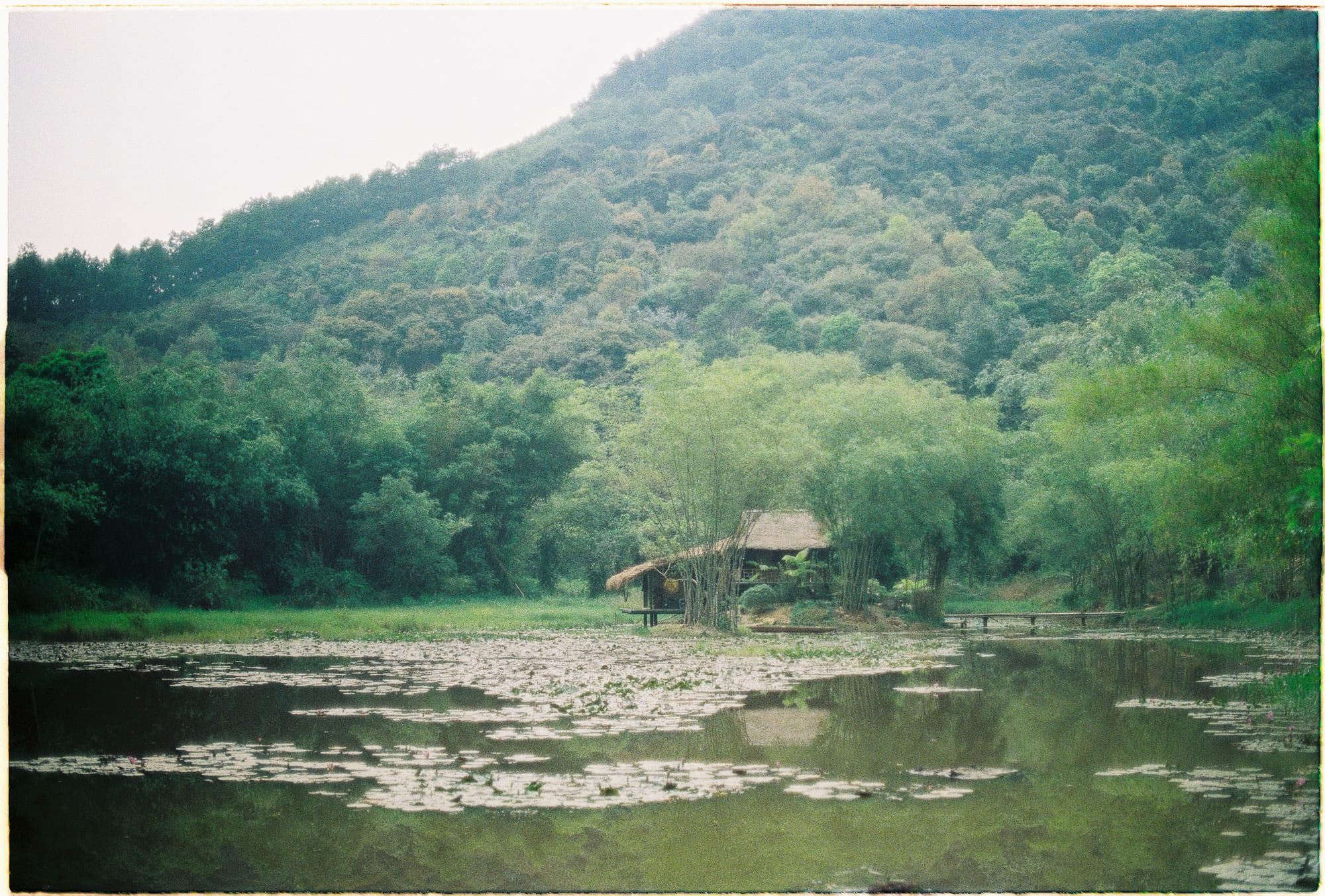 Trung tâm phát triển văn hóa đọc Nhà văn