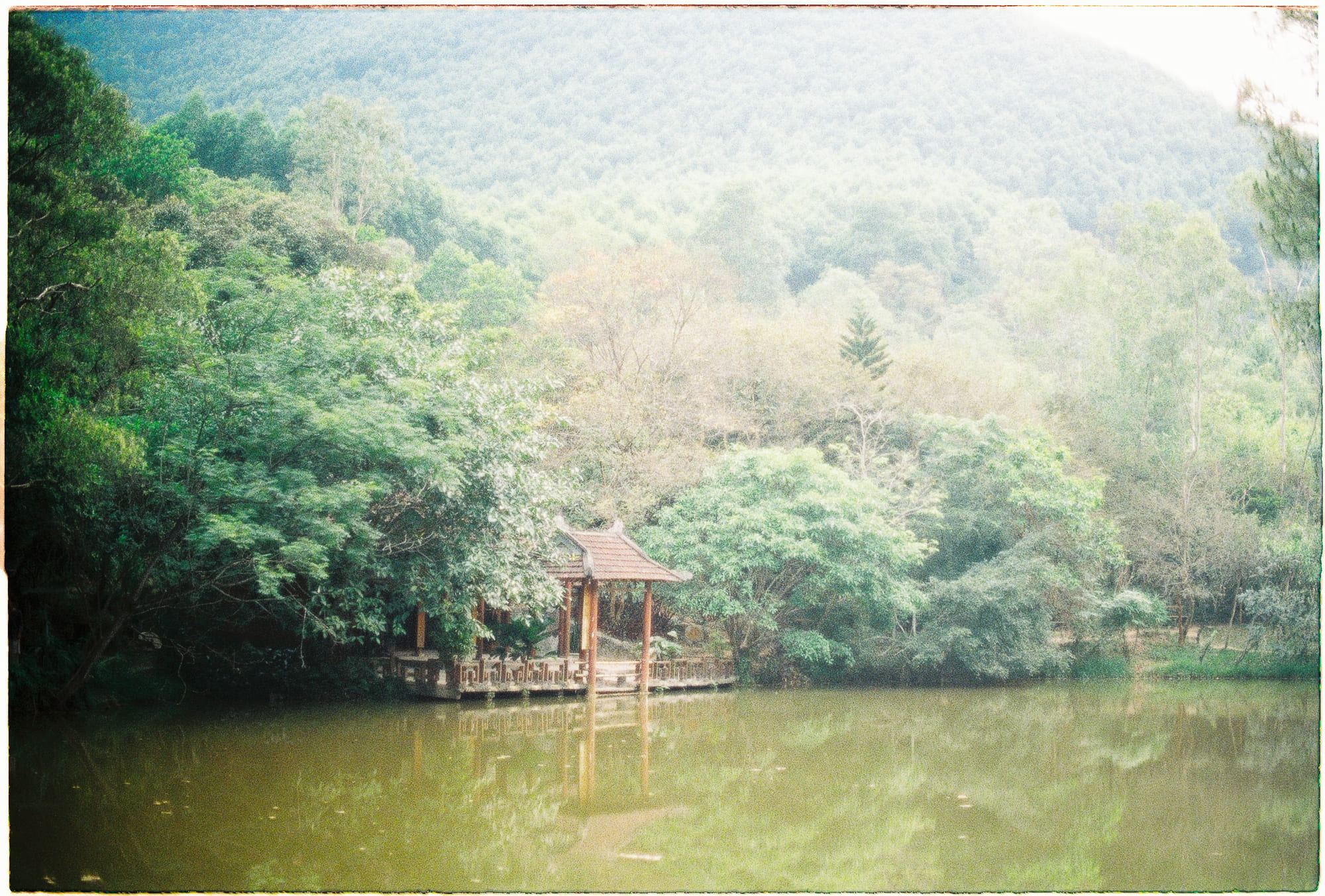 Thực vật có tri giác, nhưng chúng có ý thức không?