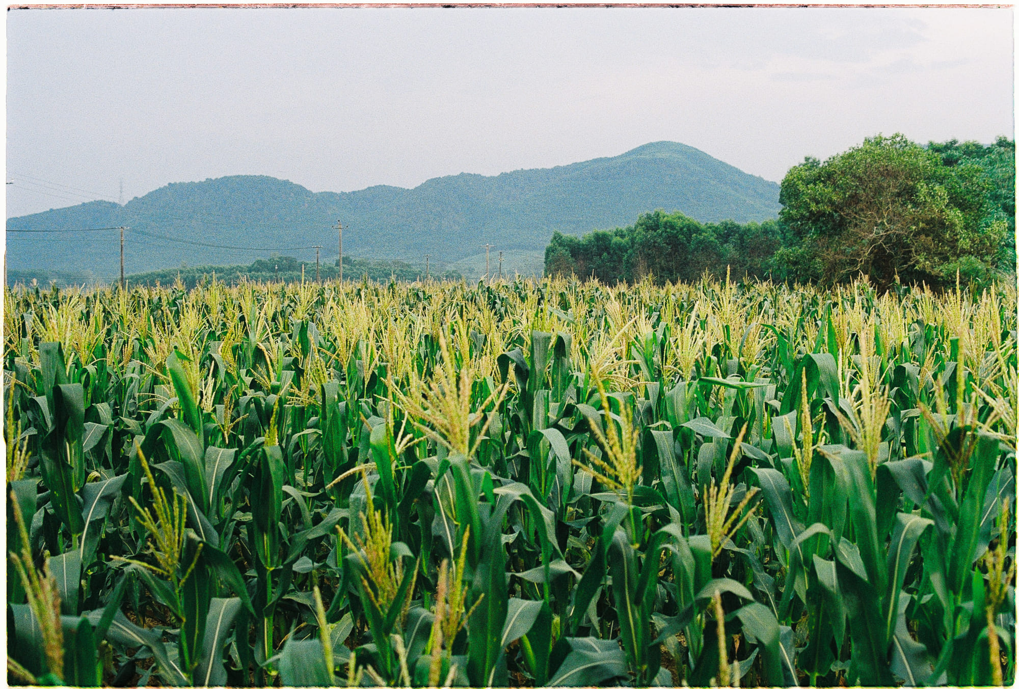 Diễn từ Nobel Văn học 1994 – Nhật Bản, sự mơ hồ, và tôi, Kenzaburo Oe Diễn từ Nobel Văn học 1994 – Nhật Bản, sự mơ hồ, và tôi, Kenzaburo Oe 241 – nobel, nobel van hoc, van hoc nhat ban, nobel van hoc 1994, kenzaburo oe, dien tu nobel van hoc, dien tu nobel, dien tu nobel van hoc 1994, dien tu van hoc 1994.