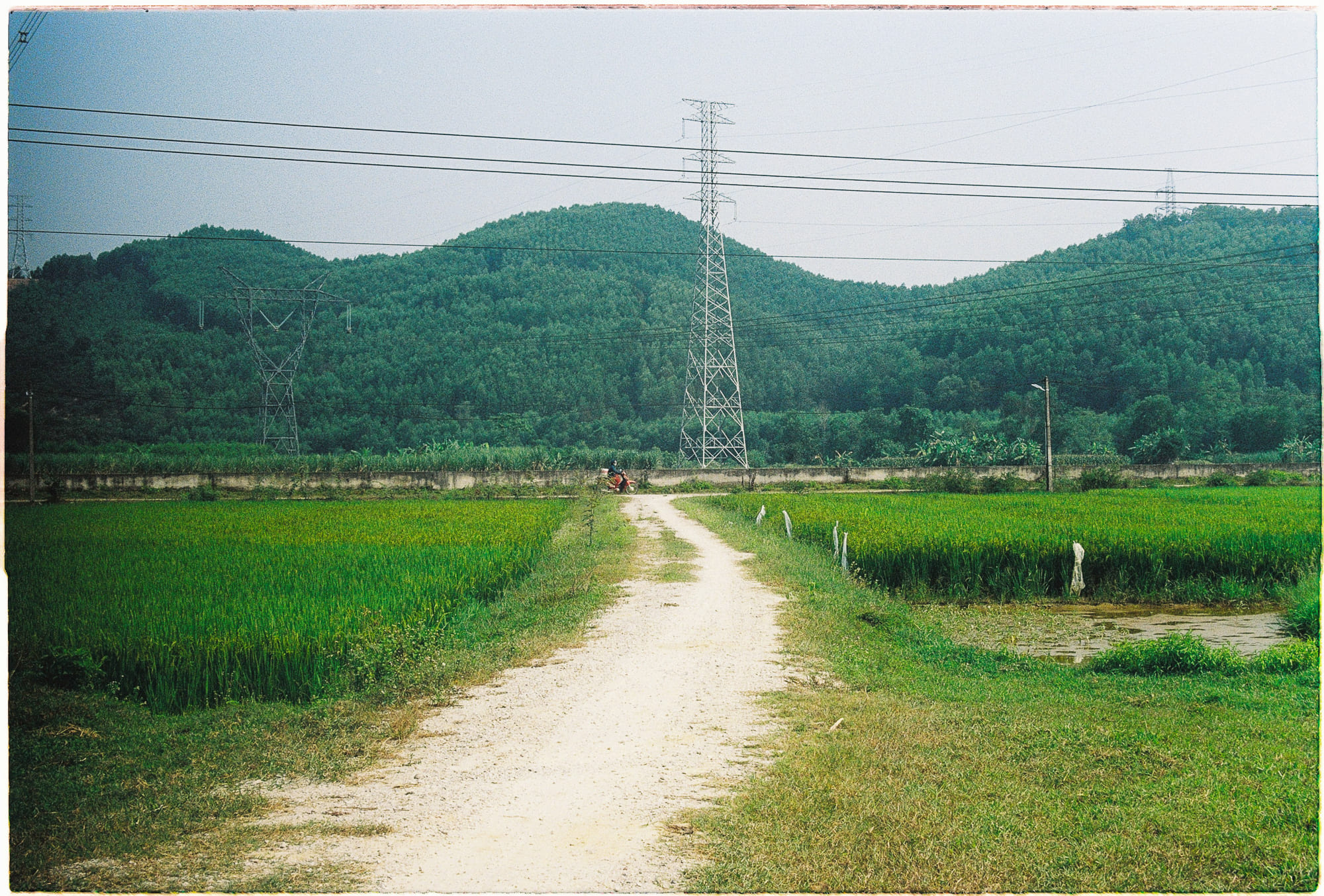 Diễn từ Nobel Văn học 1996 – Nhà thơ và thế giới, Wisława Szymborska