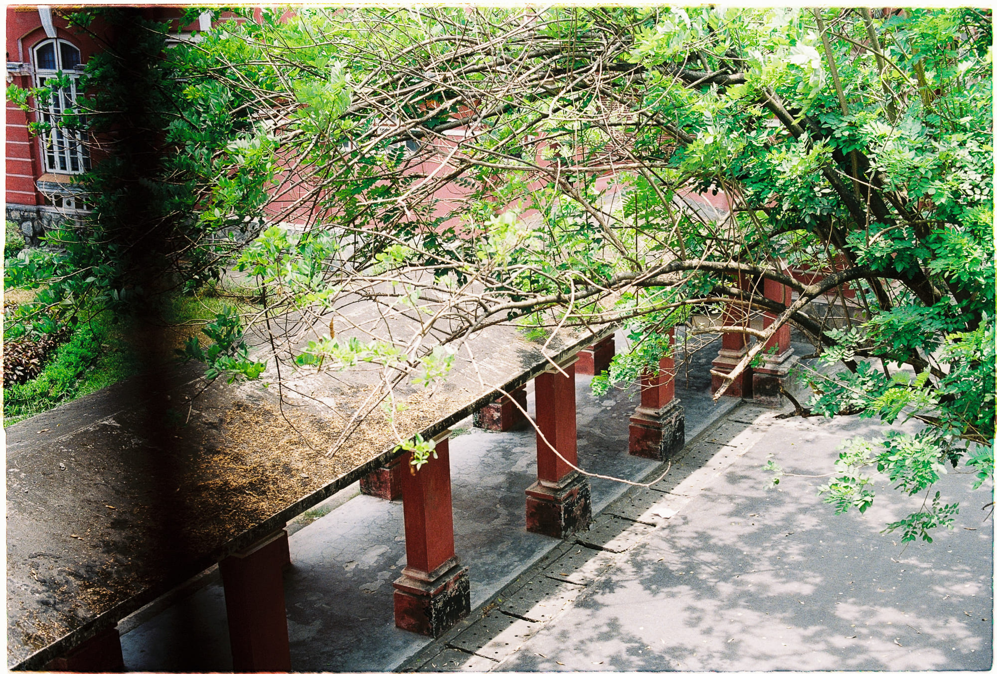 Bánh quy may mắn có nguồn gốc từ Nhật Bản