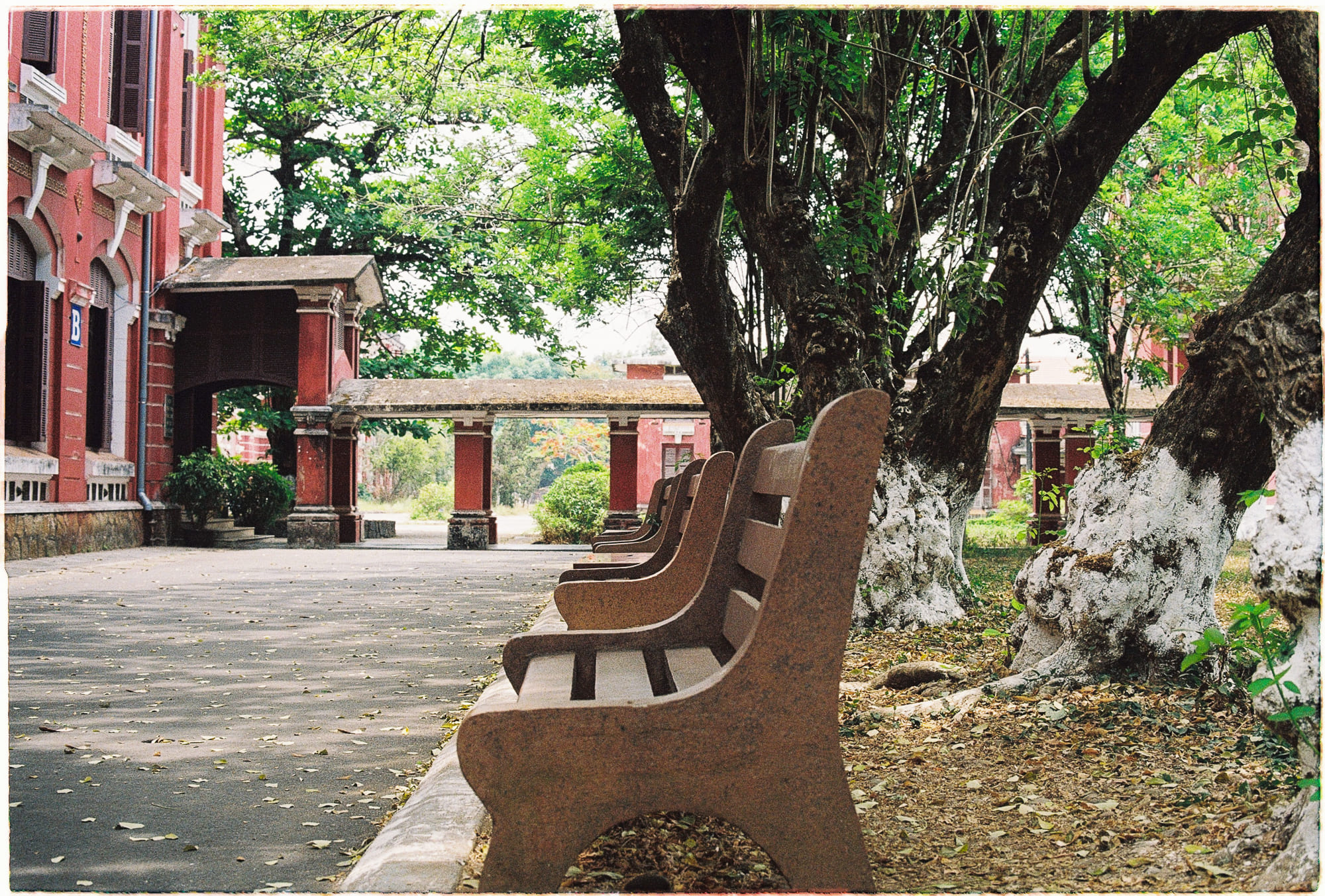 Cách nghi thức đã tạo nên xã hội loài người 738 – khoa hoc, nghien cuu, nghi thuc, nghi le, nghi thuc xa hoi, xa hoi hoc, homo sapiens, nghi le xa hoi.