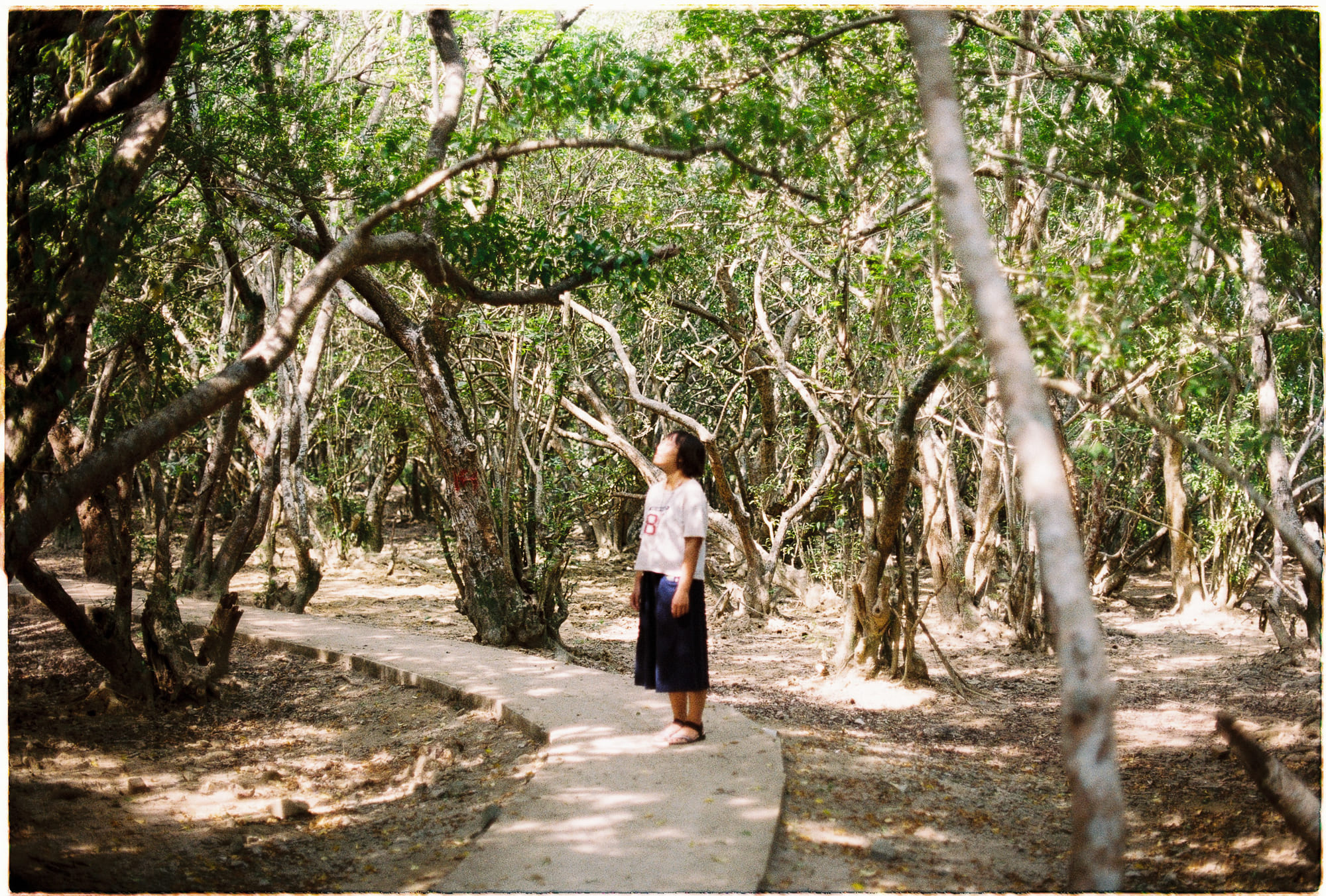 Danh sách theo thẻ bài y-thuc