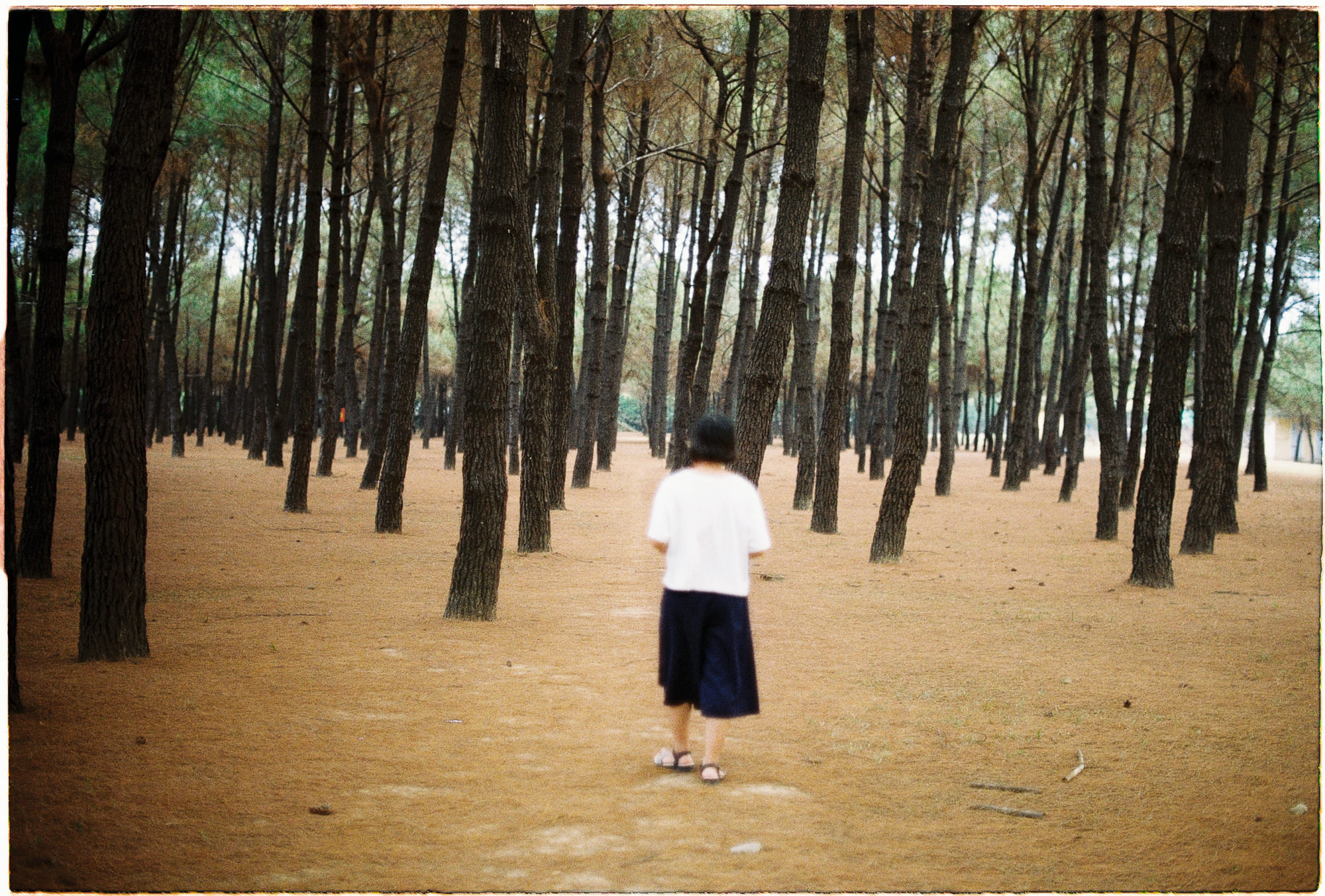 Khả năng rằng Chúa thực sự là tốt có cao không?