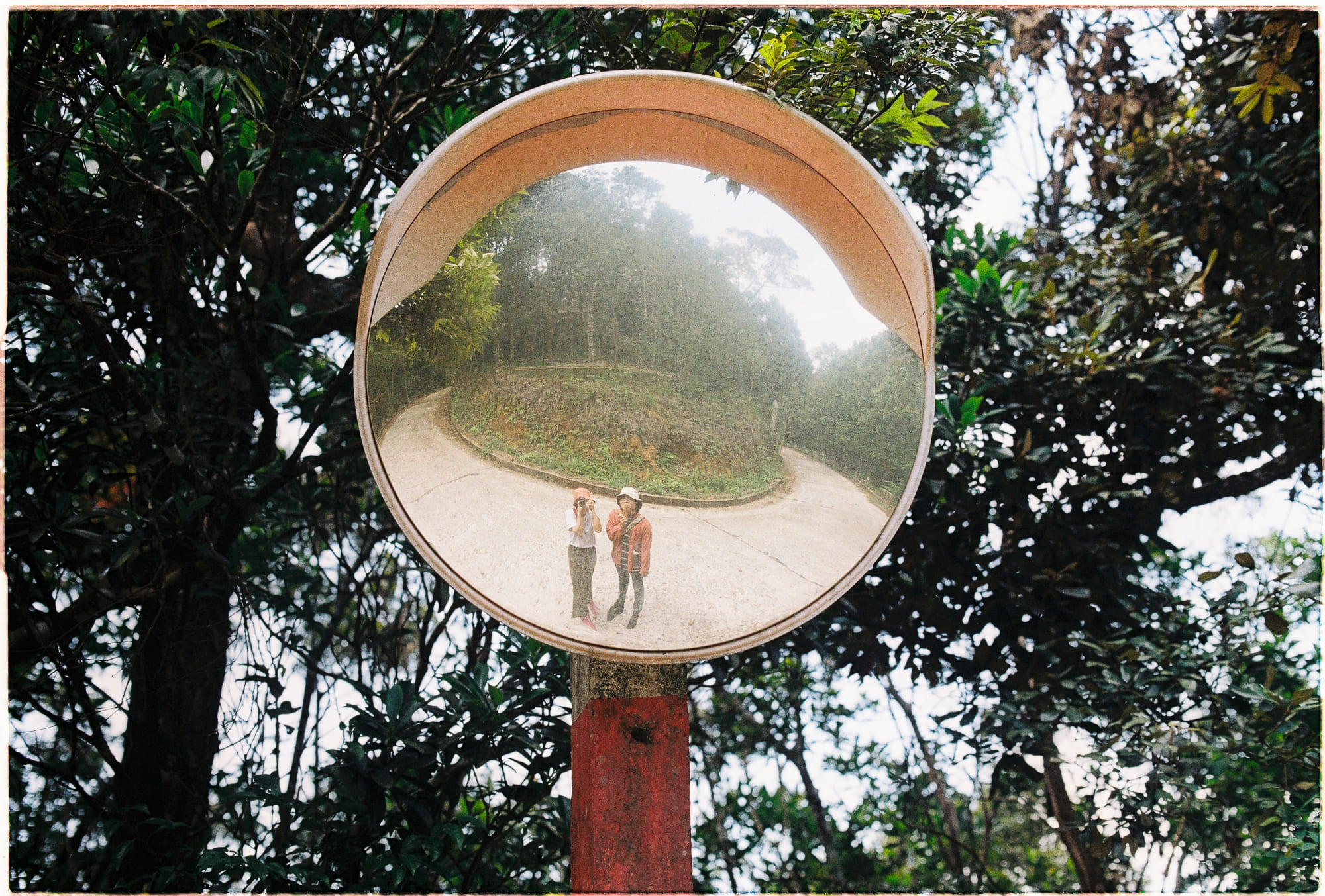 Tại sao bạn không đủ nhanh để đập chết con ruồi?