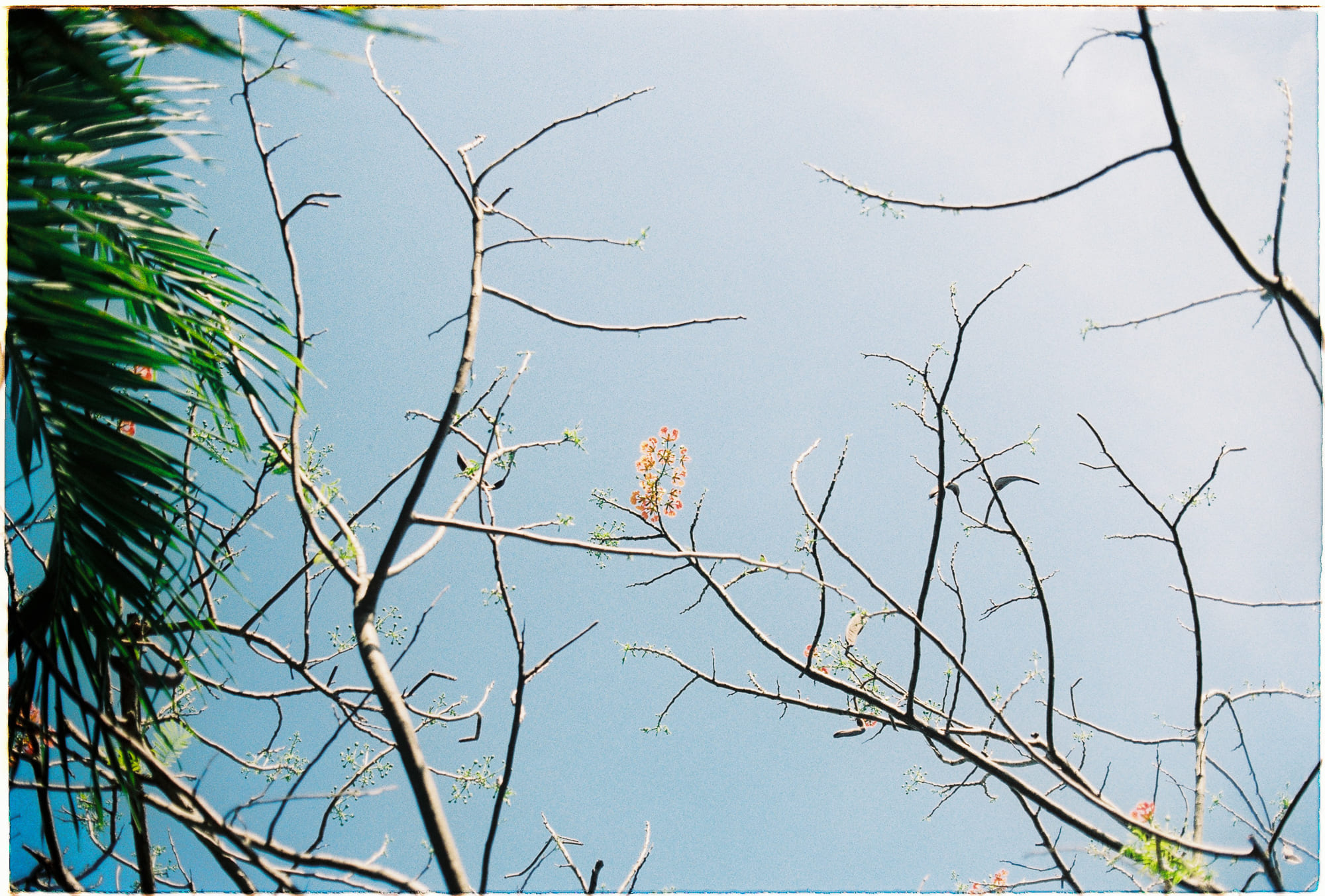 Tuyển tập viết văn năm 2026