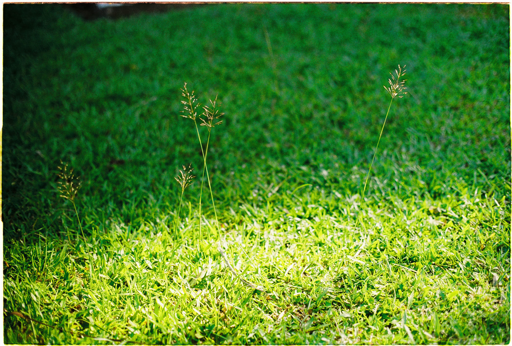 Sự thân mật  bí mật của sao em biết được điều đó?