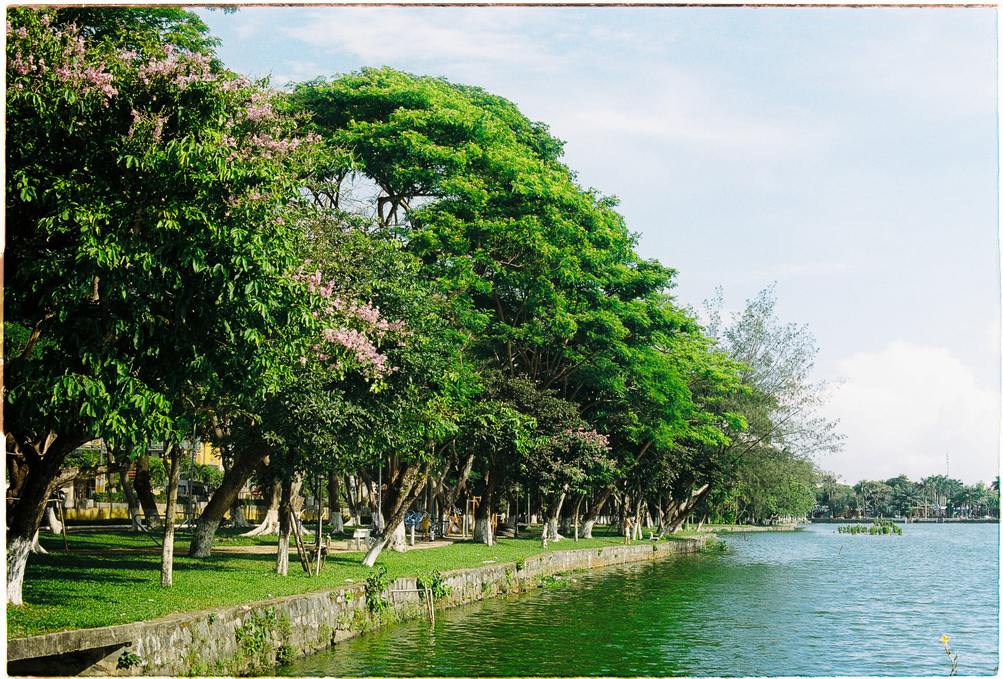 Sự sống bắt đầu như thế nào? 502 – khoa hoc, su song, nghien cuu so sung, nguon goc su song, khoi dau su song.