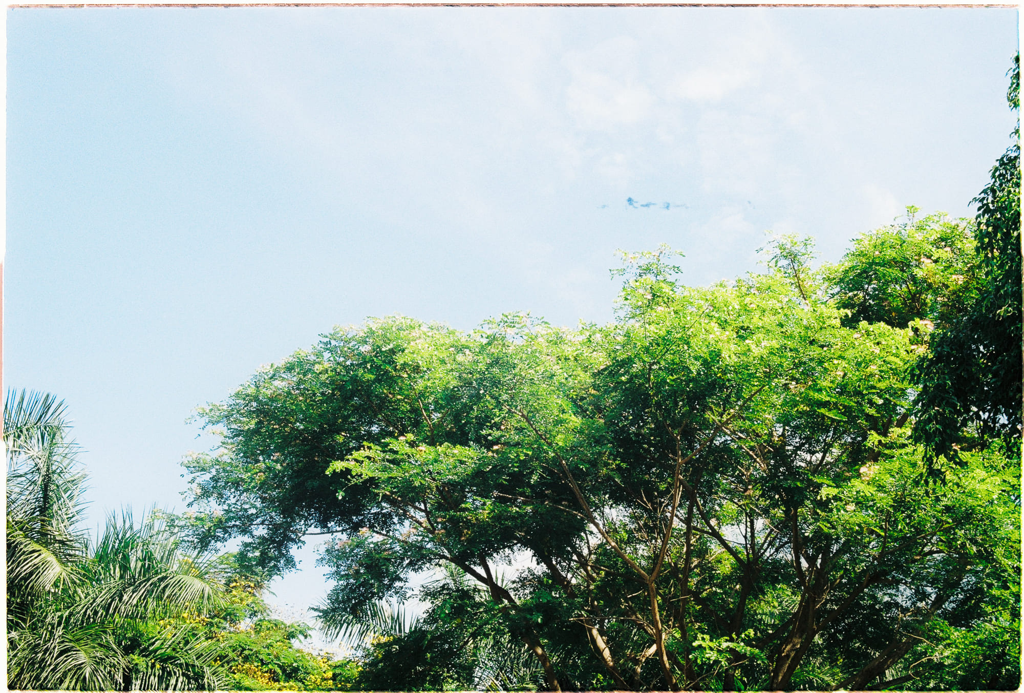 Trung tâm phát triển văn hóa đọc Nhà văn