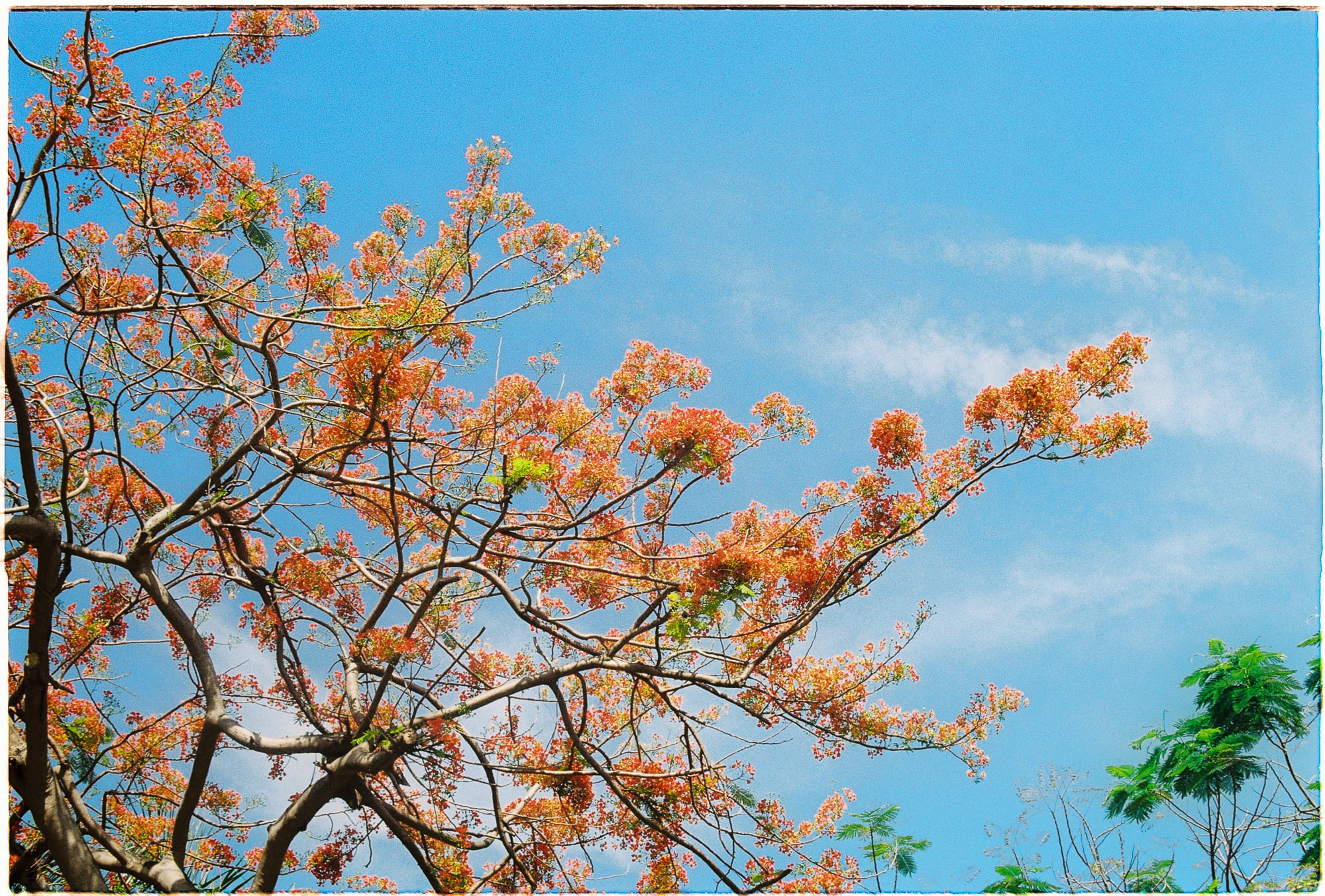 Trung tâm phát triển văn hóa đọc Nhà văn