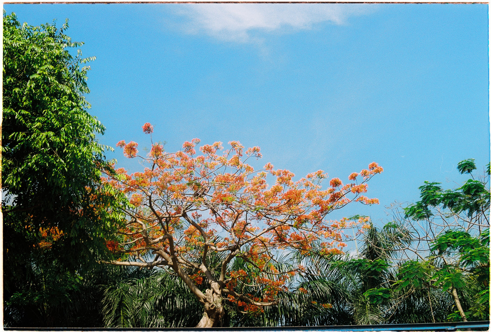 4 tôn giáo lớn có gốc rễ từ chủ nghĩa vô chính phủ