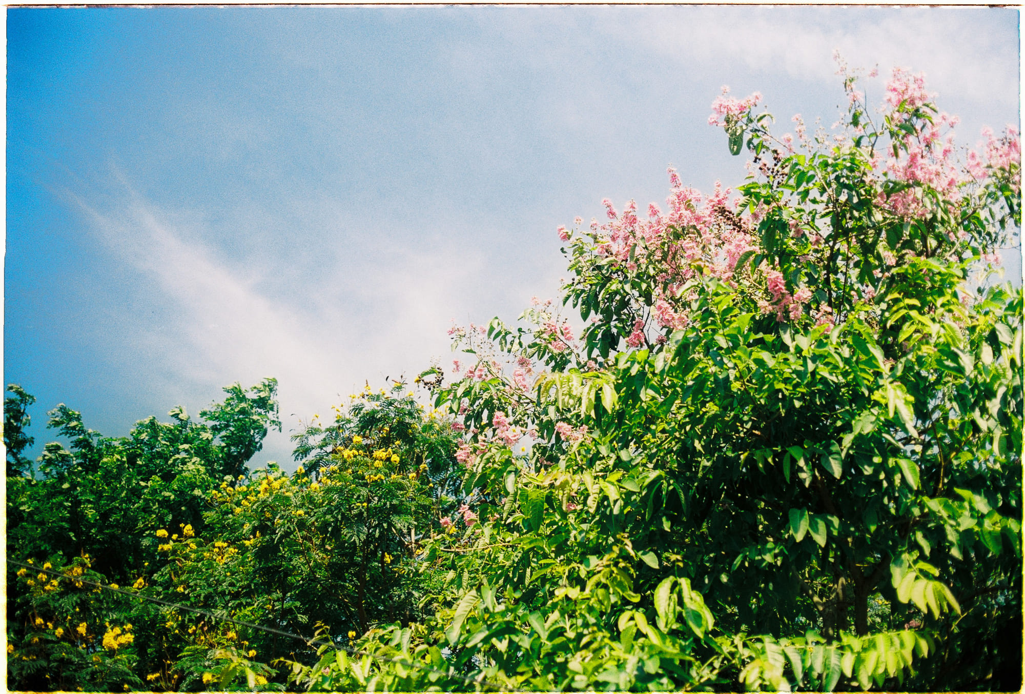 Ý nghĩa thần học và chính trị của lưu đày trong lịch sử Do Thái