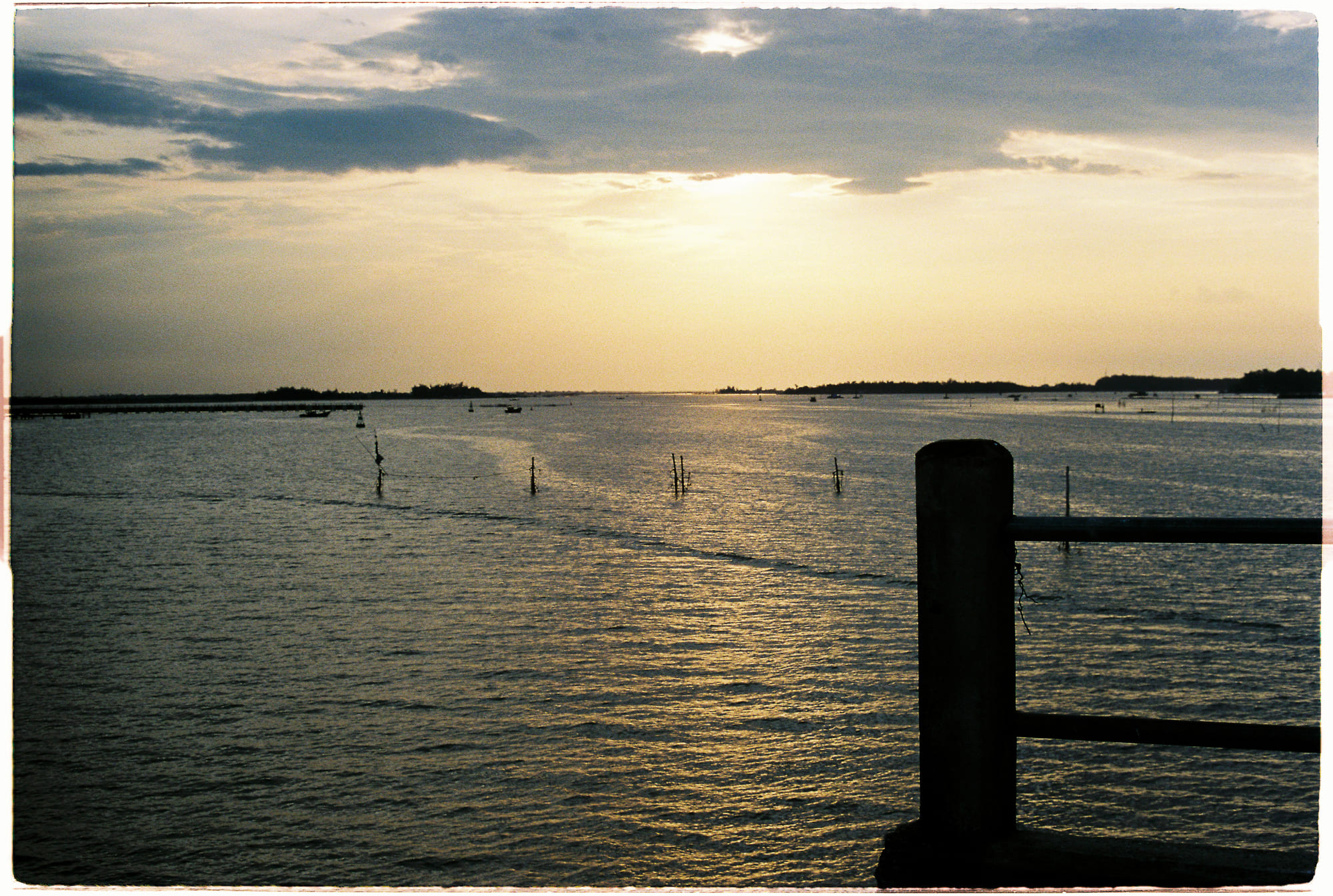 Xác sống thiên nhiên và thần kinh ký sinh học