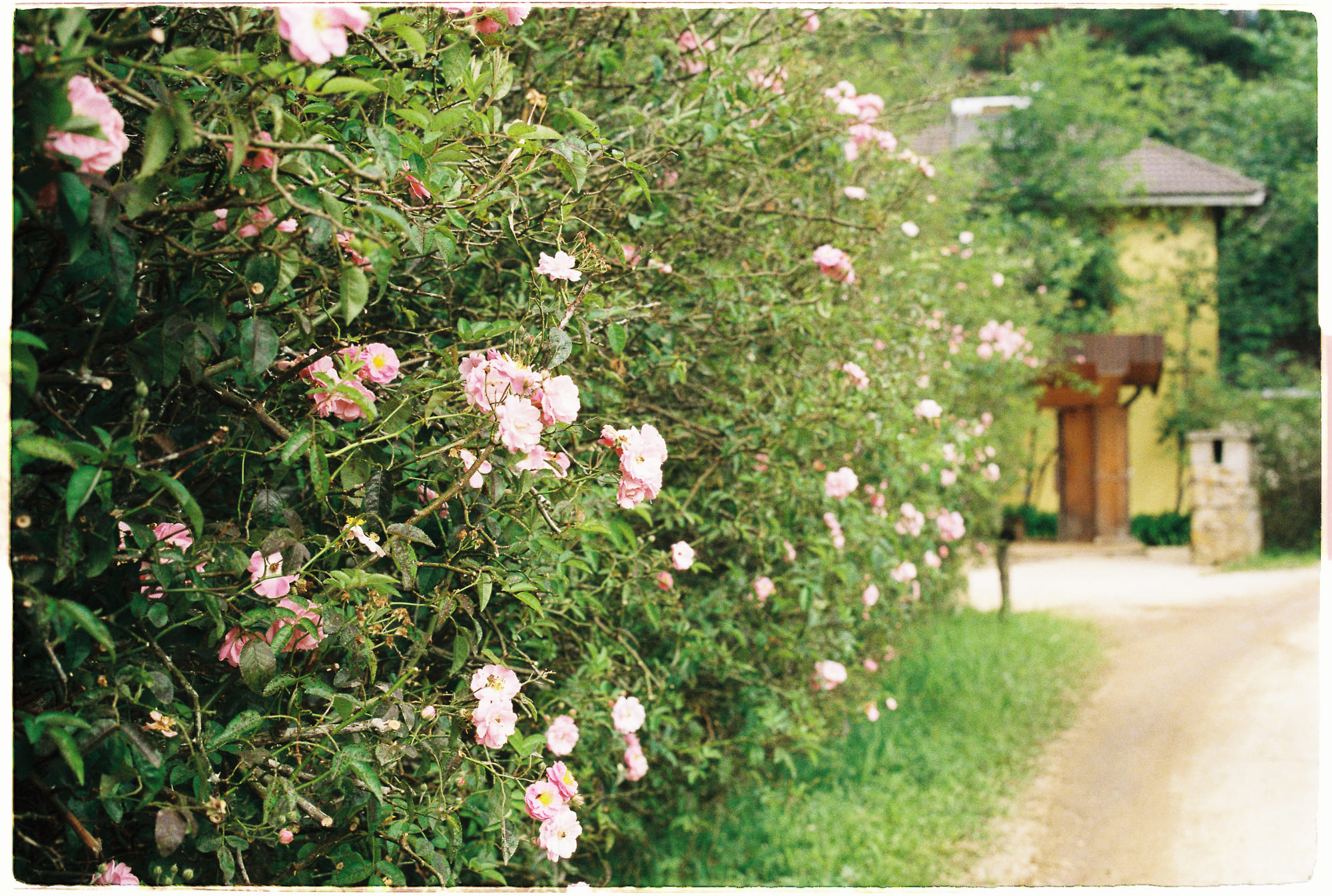 Trung tâm phát triển văn hóa đọc Nhà văn