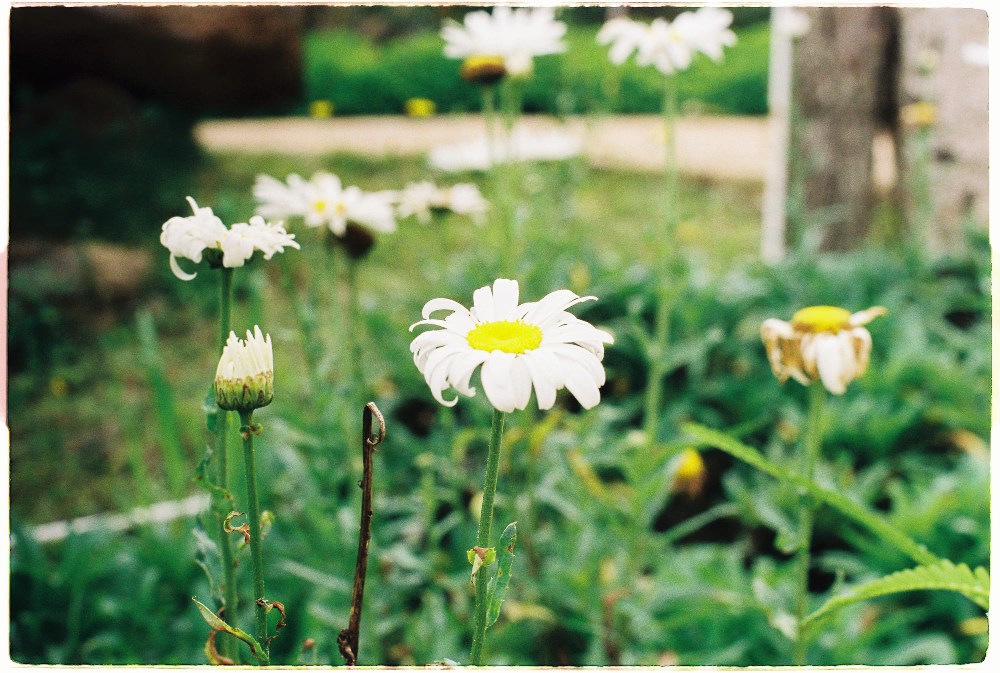 4 loại kẻ thù (và cách đánh bại chúng)