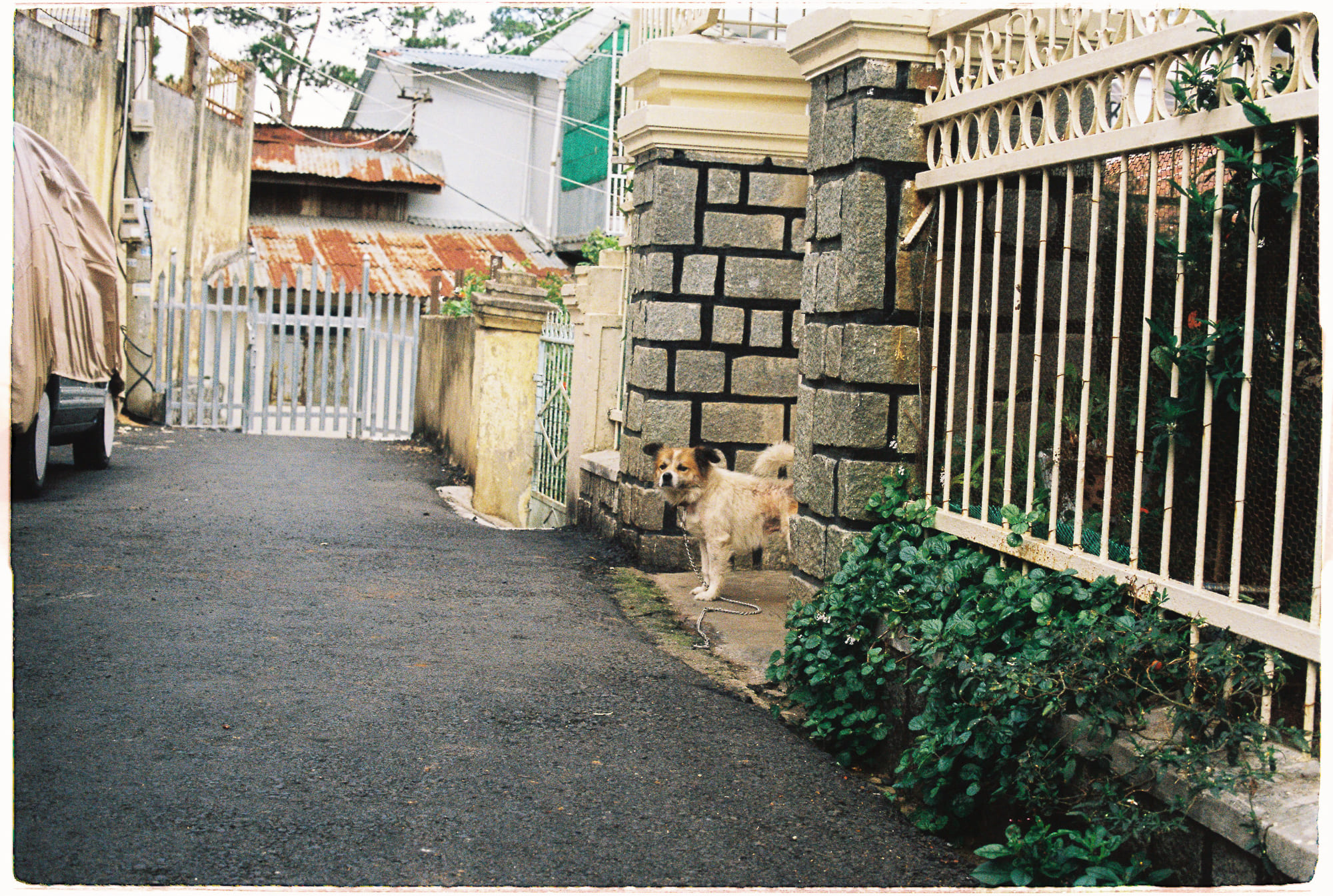 Ký ức tuổi thơ định hình thế giới quan 177 – nghien cuu, van hoa, nhan hoc, van hoa doc, doc sach, tuoi tho, timothy c. baker, tragicomic, the wind in the willows, doc lai tuoi tho.