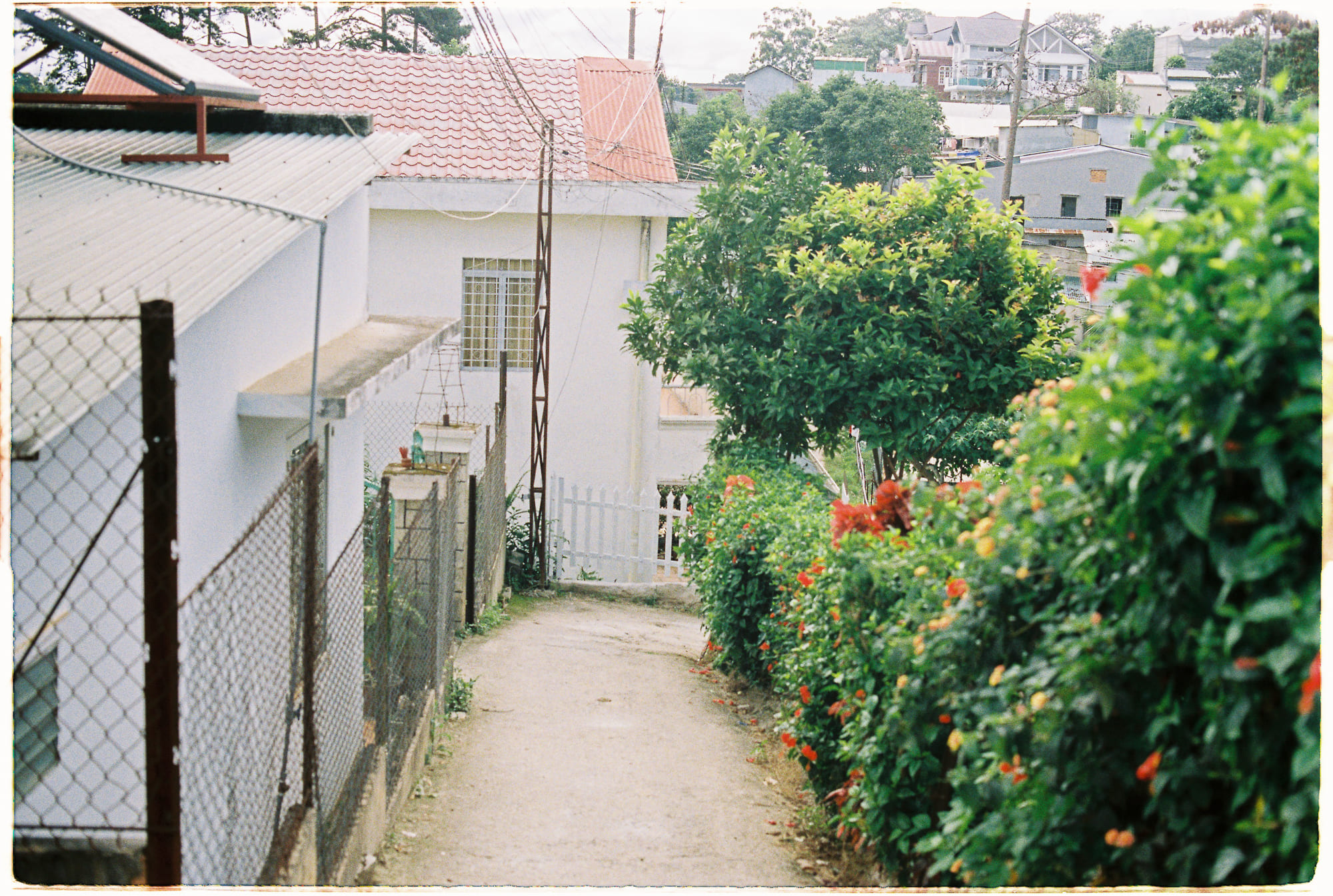 Khủng hoảng căn tính của thế hệ trẻ trong xã hội đô thị hóa