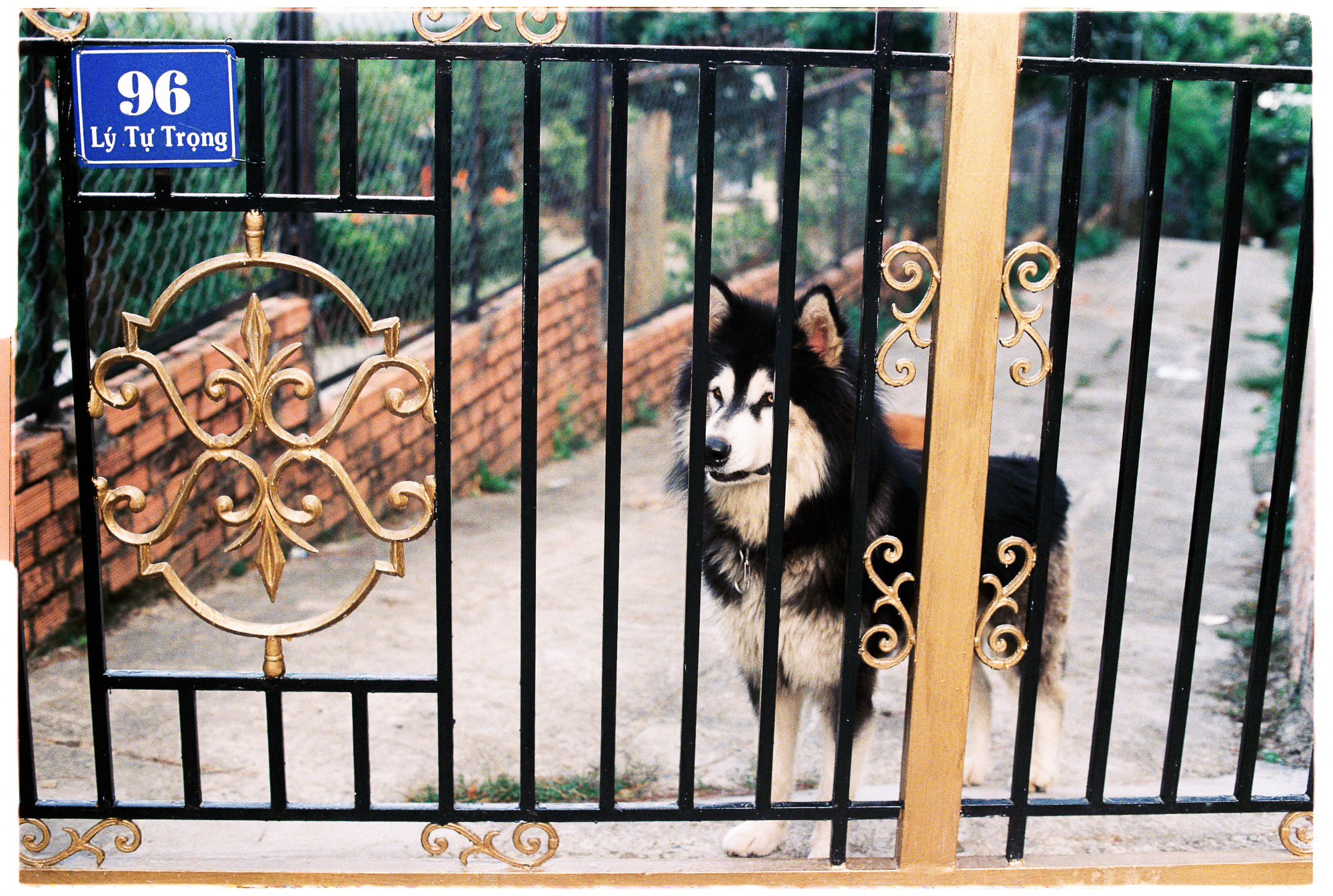 Lịch sử lâu dài của thu nhập cá nhân phổ quát 215 – khoa hoc, lich su, kinh te hoc, thu nhap ca nhan, chu nghia tieu dung, thu nhap, lich su thu nhap.