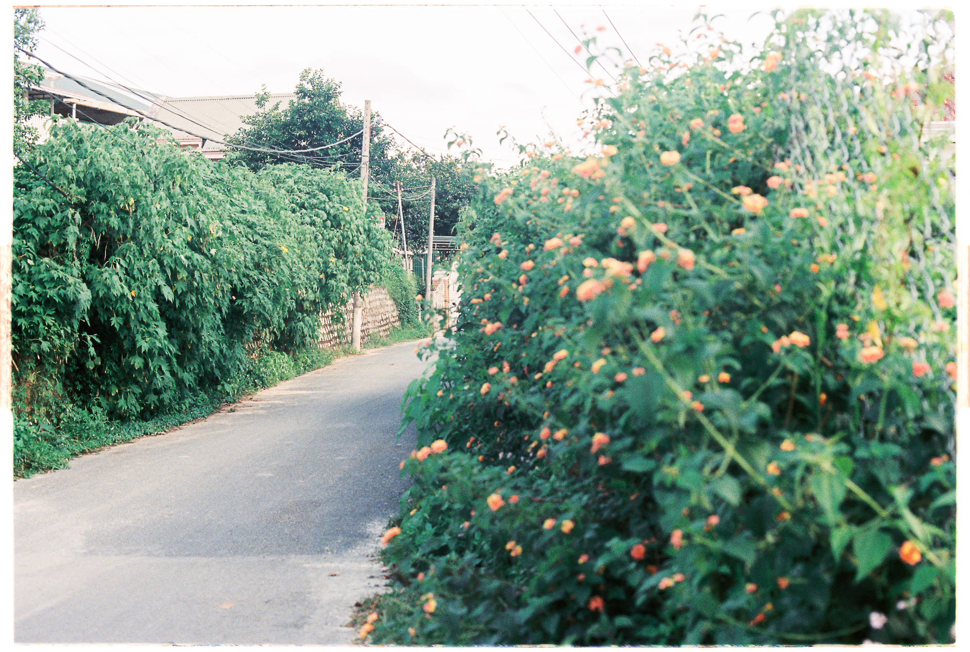 Vũ trụ mở rộng có phá vỡ tốc độ ánh sáng không?