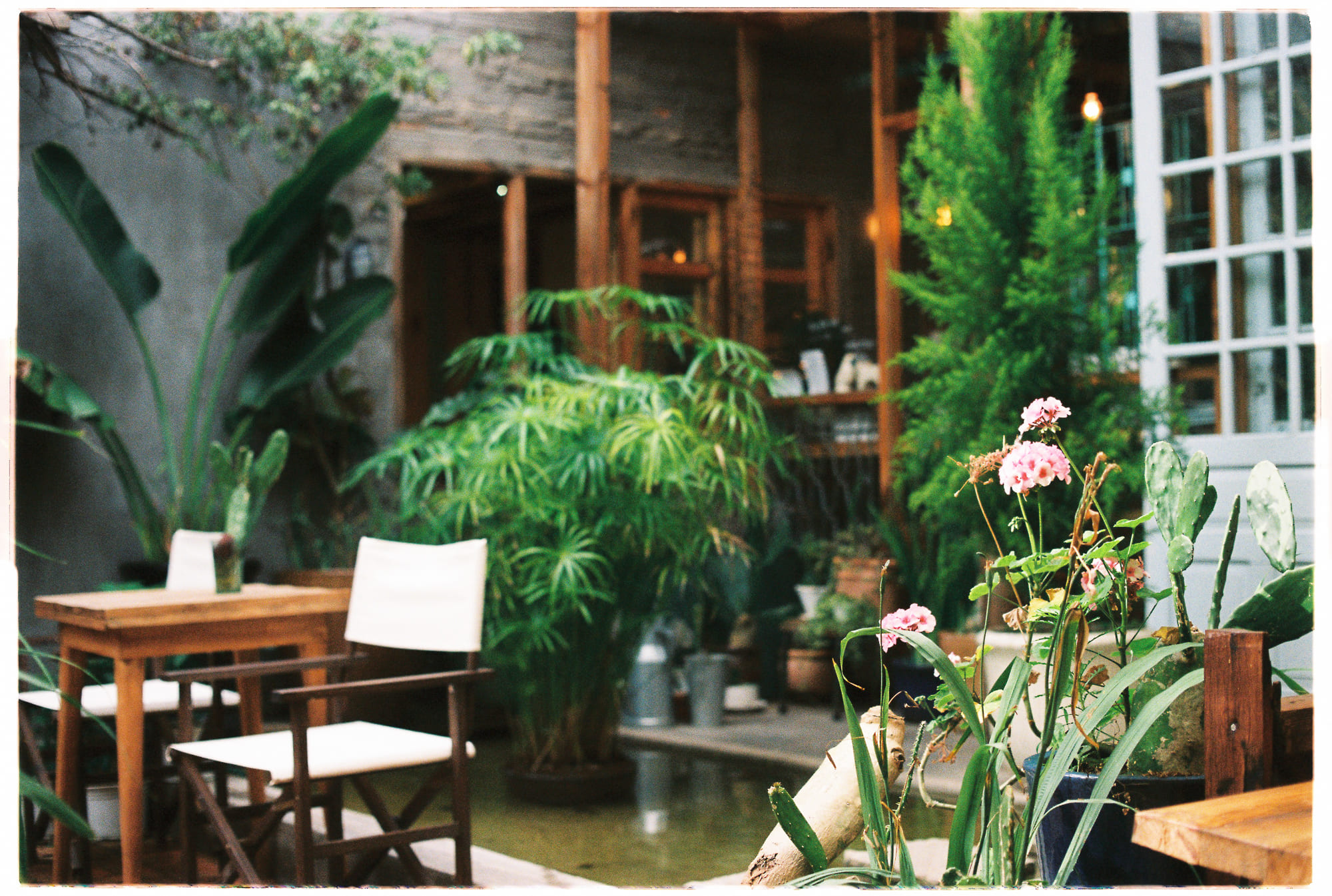 Nghịch lý Solomon giúp đưa ra lời khuyên tốt Nghịch lý Solomon giúp đưa ra lời khuyên tốt 276 – nghich ly, nghich ly solomon, solomon, loi khuyen, phat trien ban than, khoa hoc, ky nang, ky nang chuyen mon, thanh cong, chia khoa thanh cong, cau chuyen mat quyen luc, mat quyen luc, tam ly hoc, nhan thuc ban than, cai thien ban than, nghich ly loi khuyen.