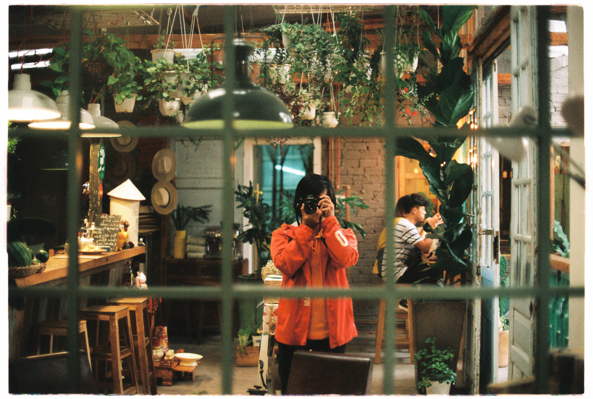 5 lý thuyết khoa học kỳ quặc nhất trong lịch sử